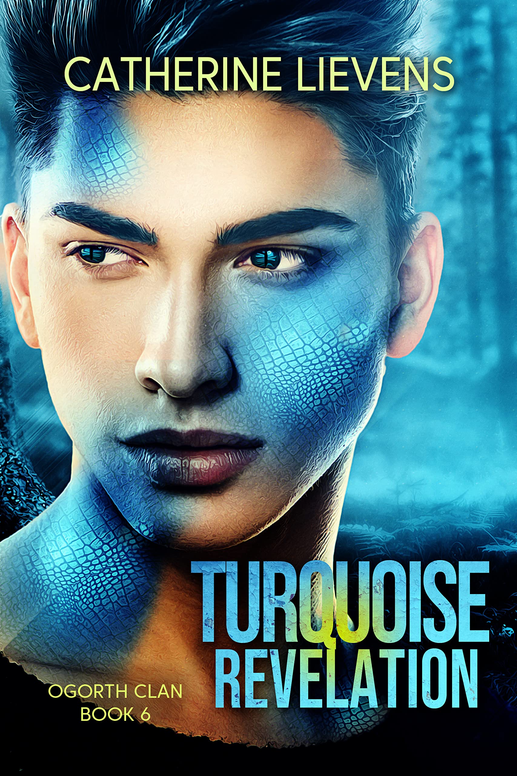 Turquoise Revelation book cover