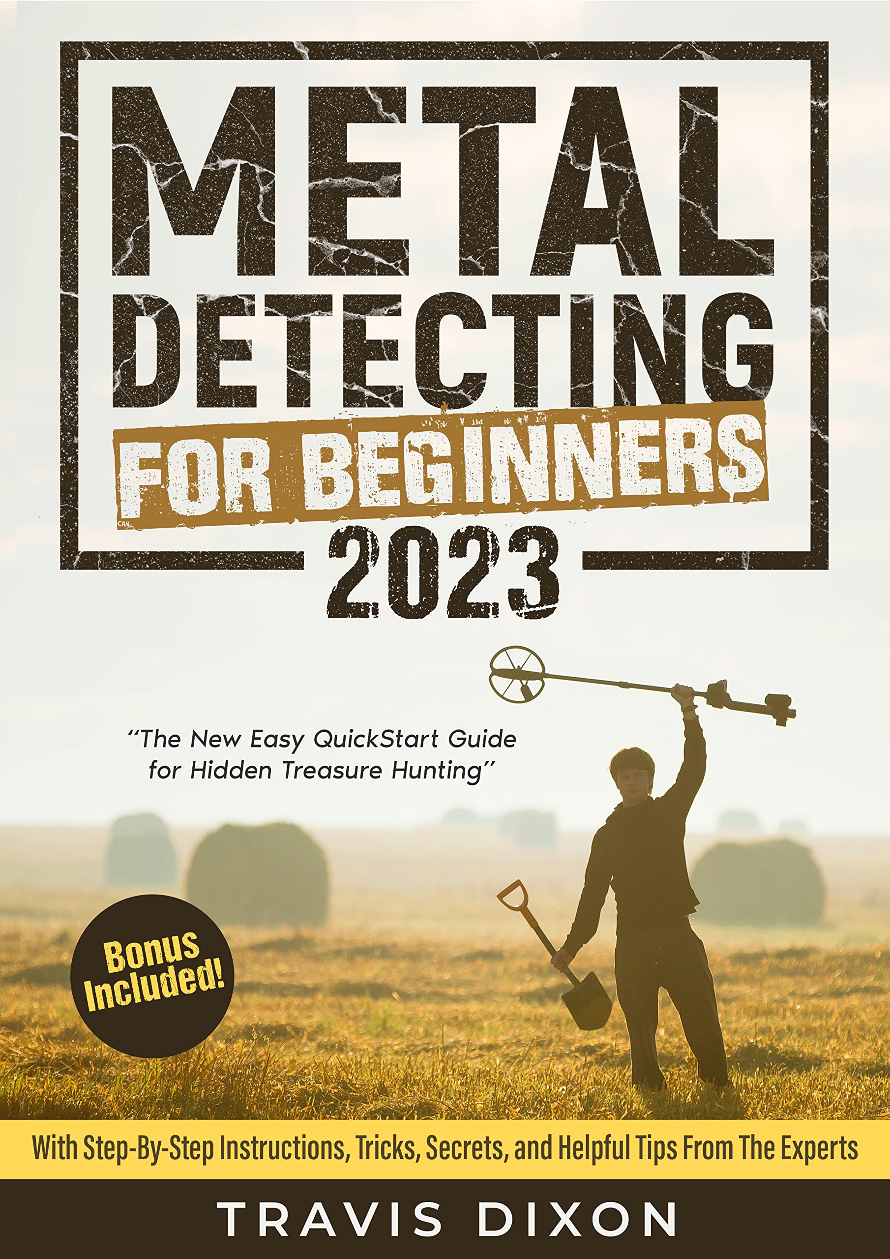 Metal Detecting for Beginners The New Easy QuickStart Guide for Hidden