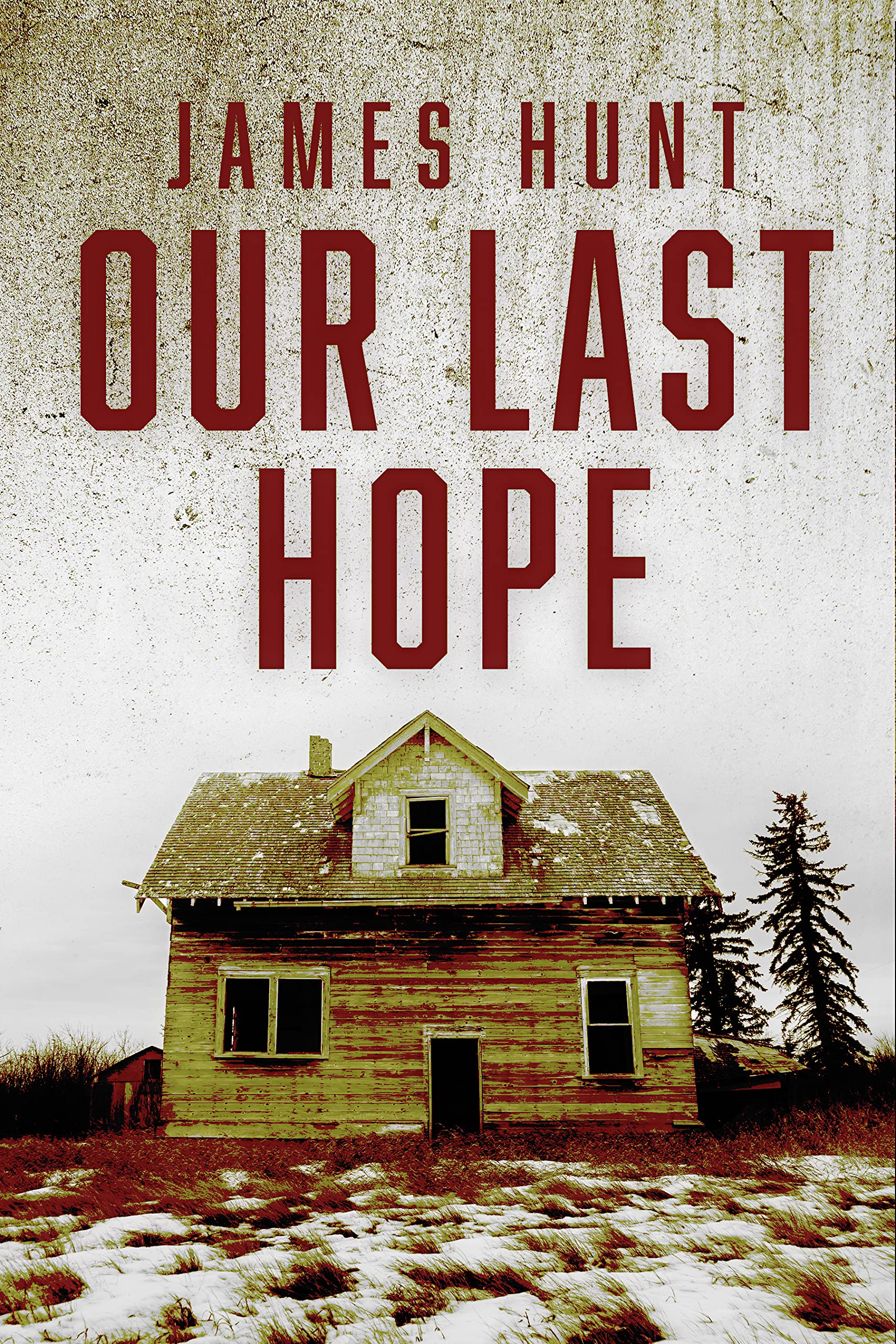 Our Last Hope book cover