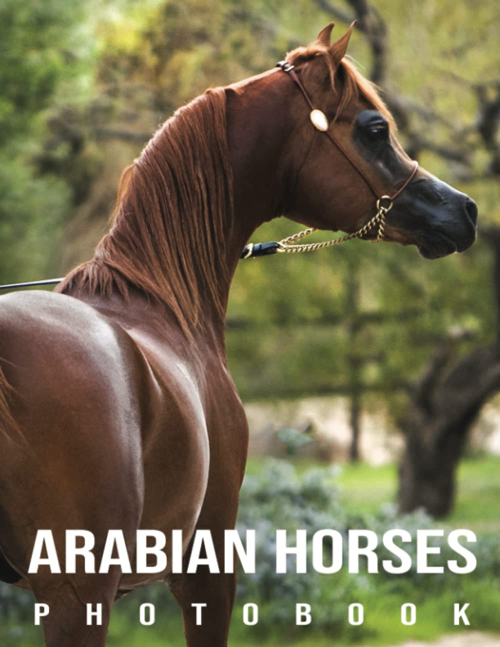 Arabian Horses Photo Book A Great Gift With Impressive And Attractive Illustrations Of The Most