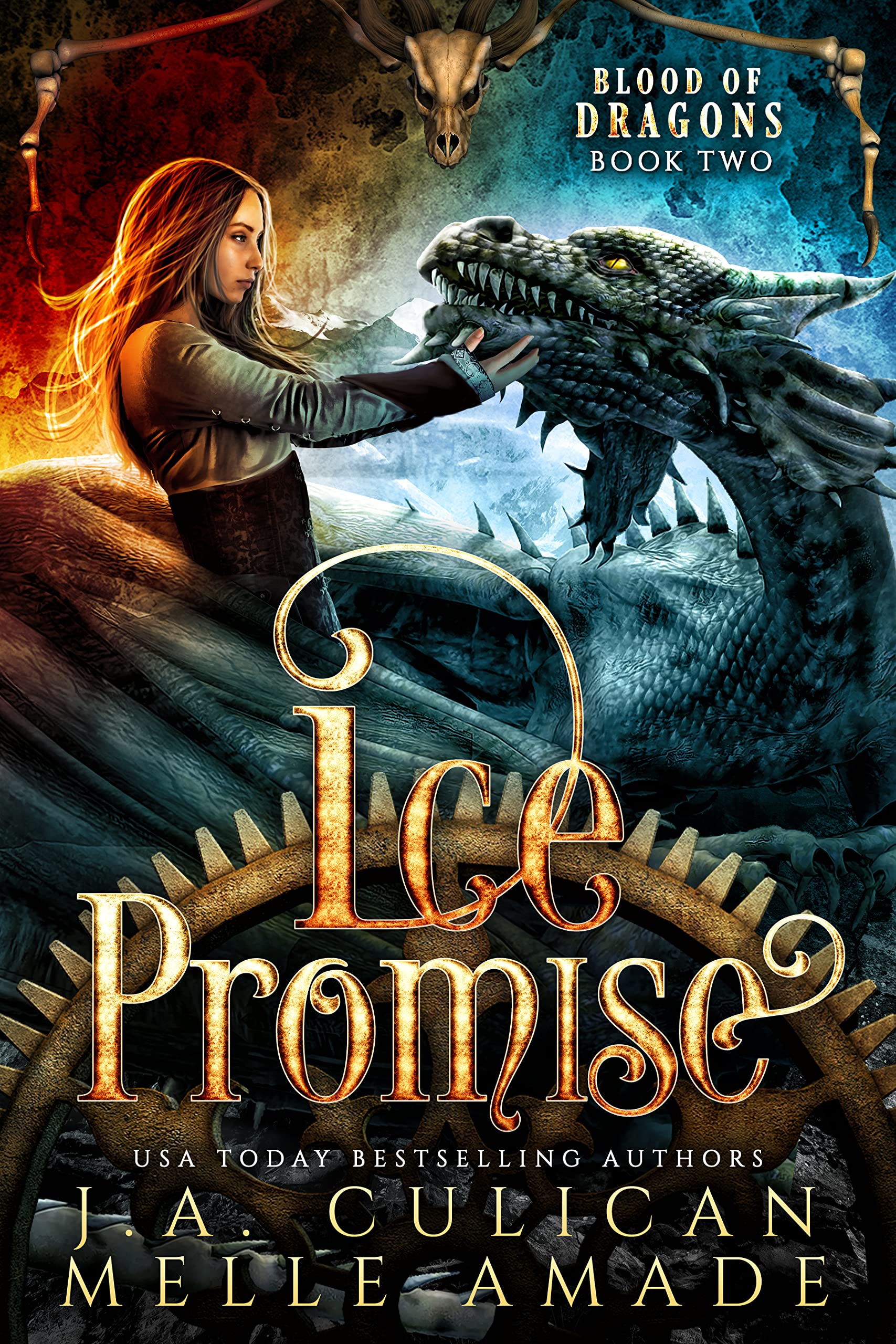 Ice Promise book cover