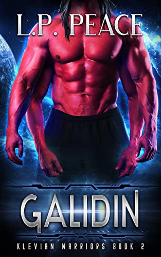 Galidin book cover