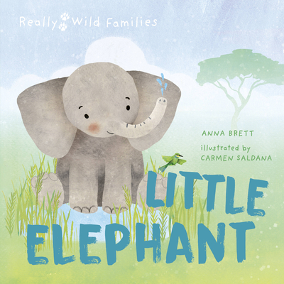Little Elephant book cover