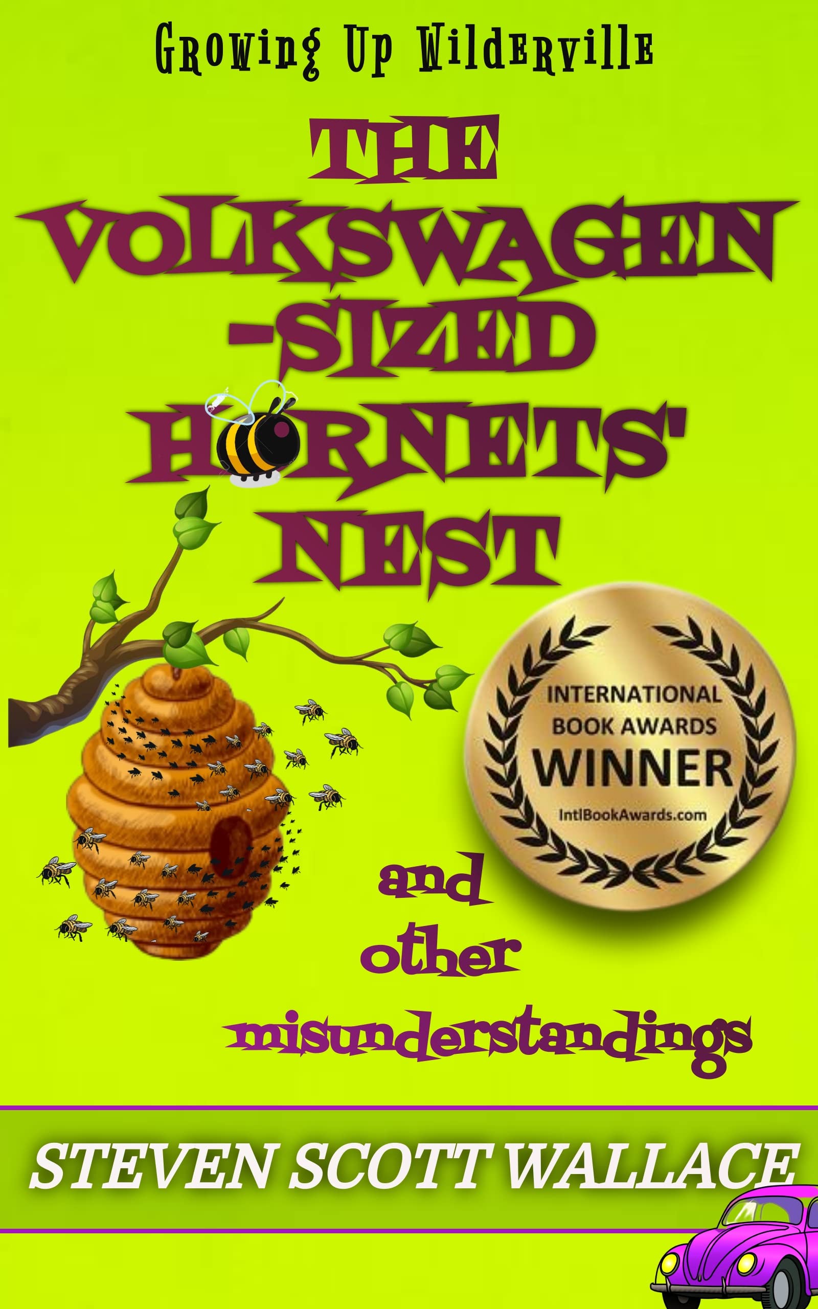 The Volkswagen-sized Hornets Nest: and other Misunderstandings