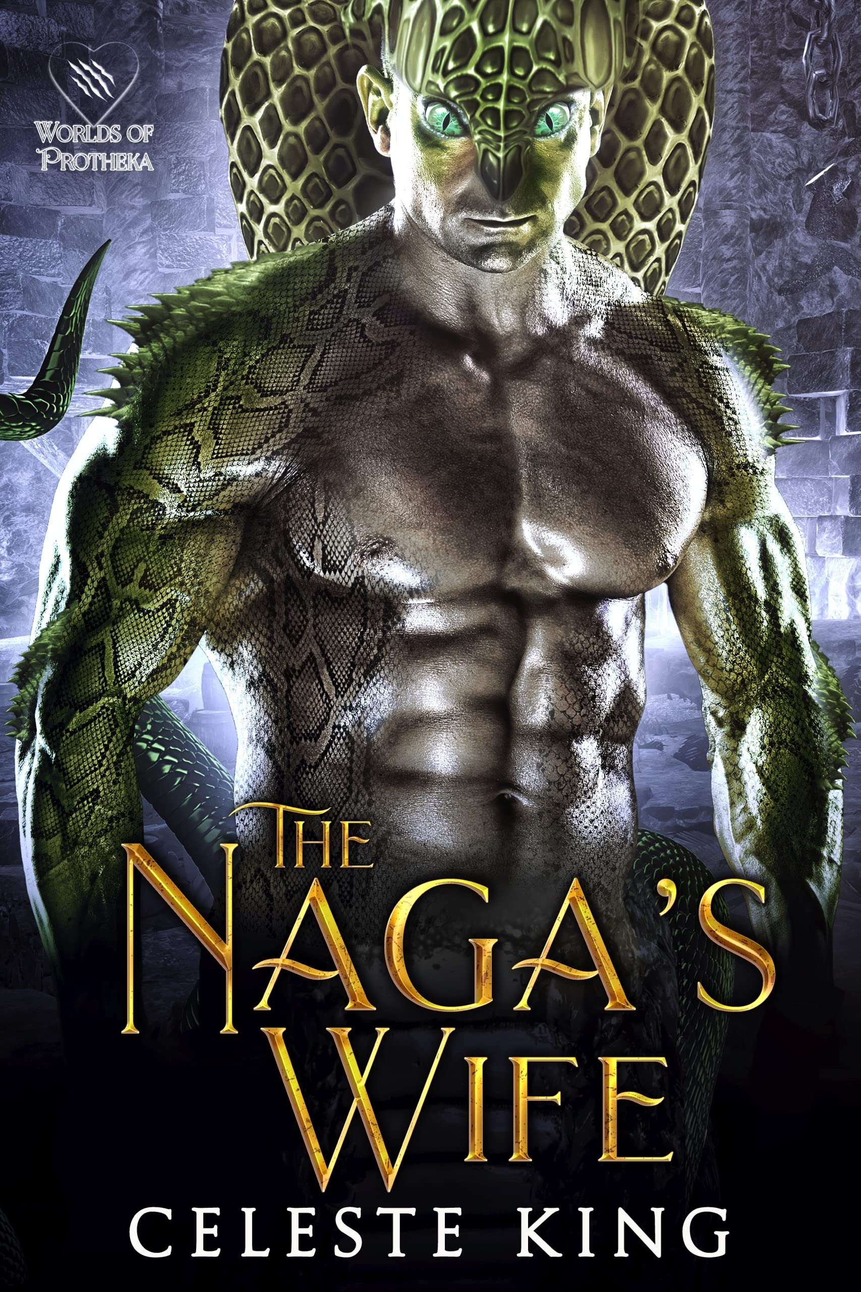 The Naga's Wife book cover