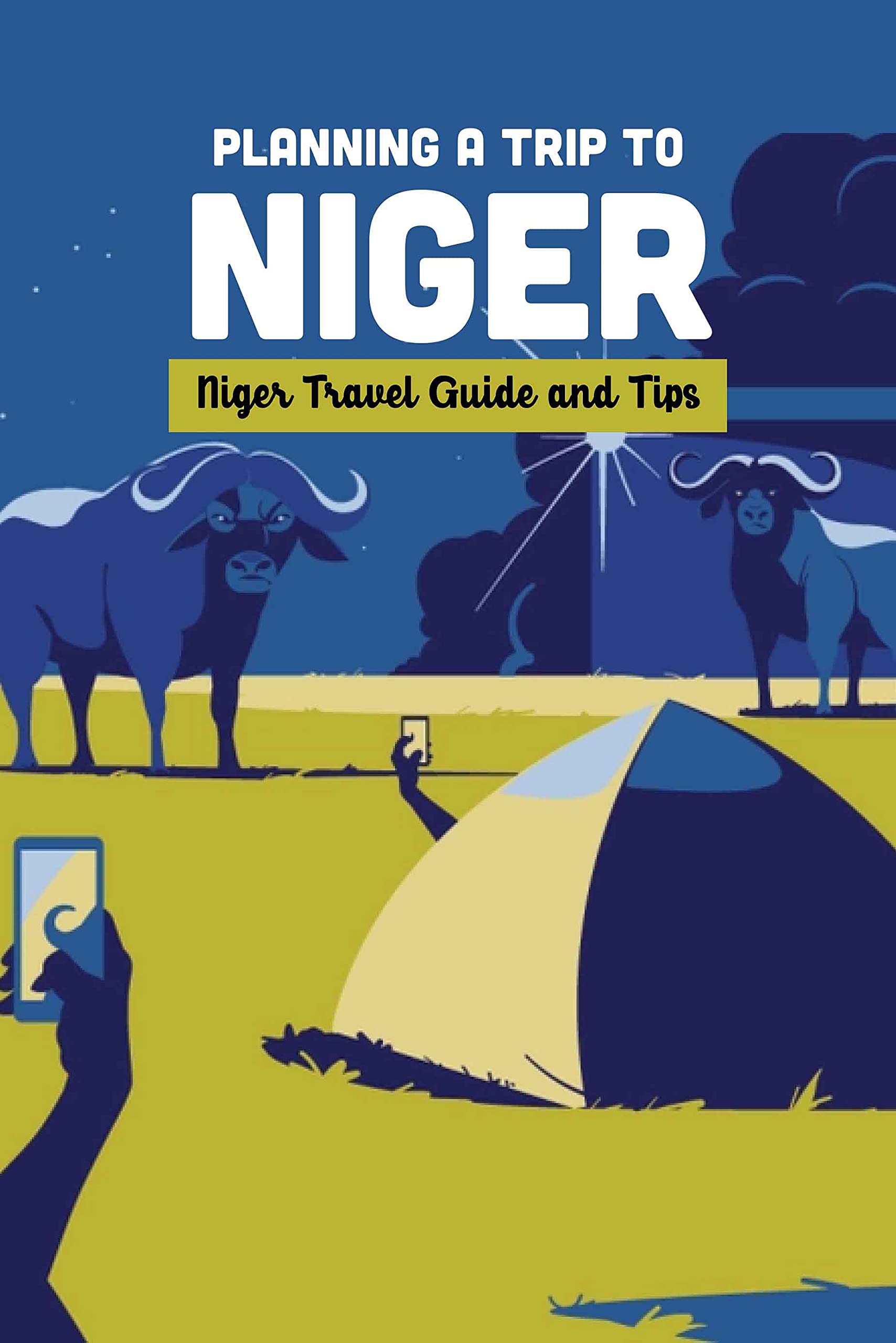 Planning A Trip to Niger: Niger Travel Guide and Tips: Niger Travel