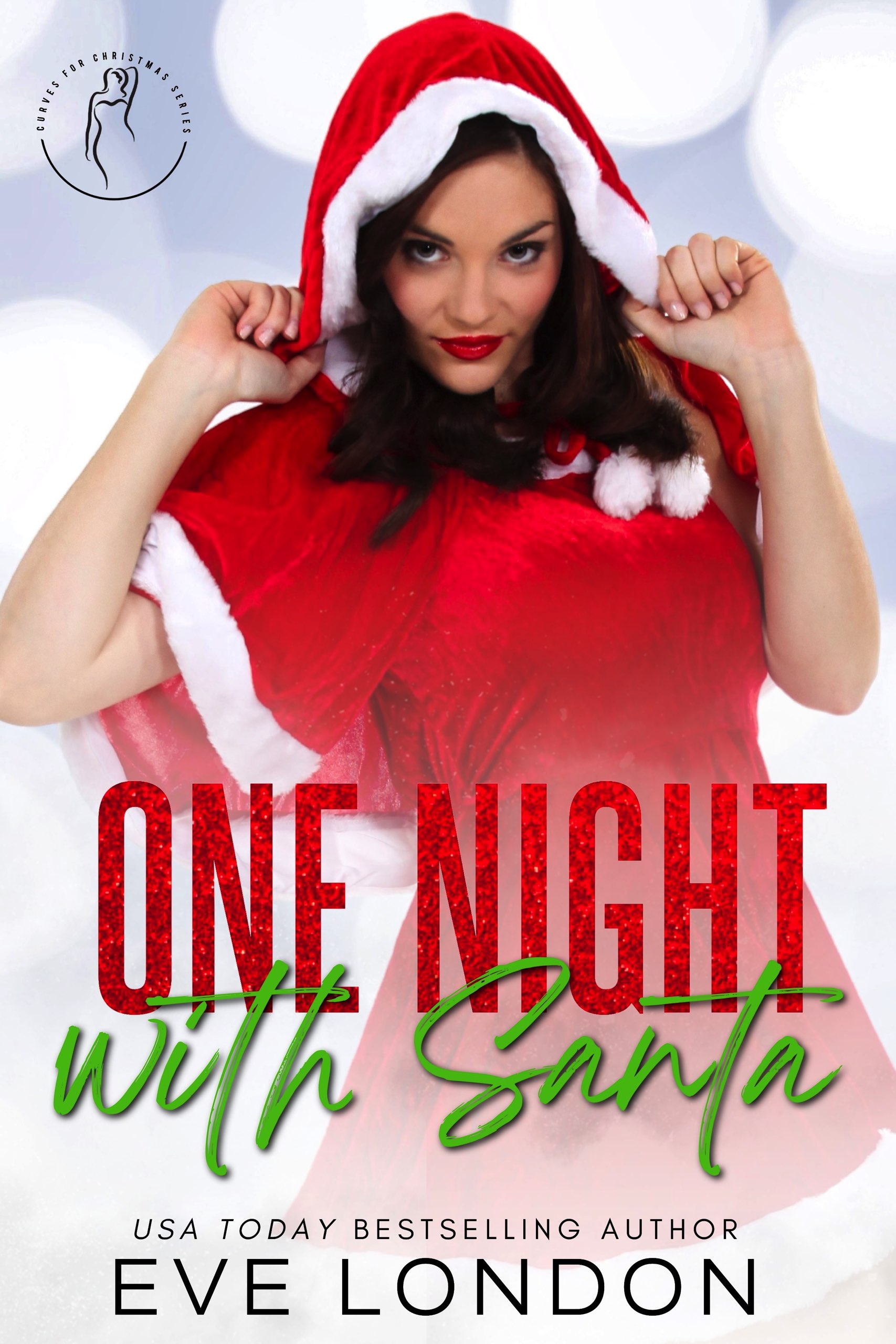 One Night with Santa book cover