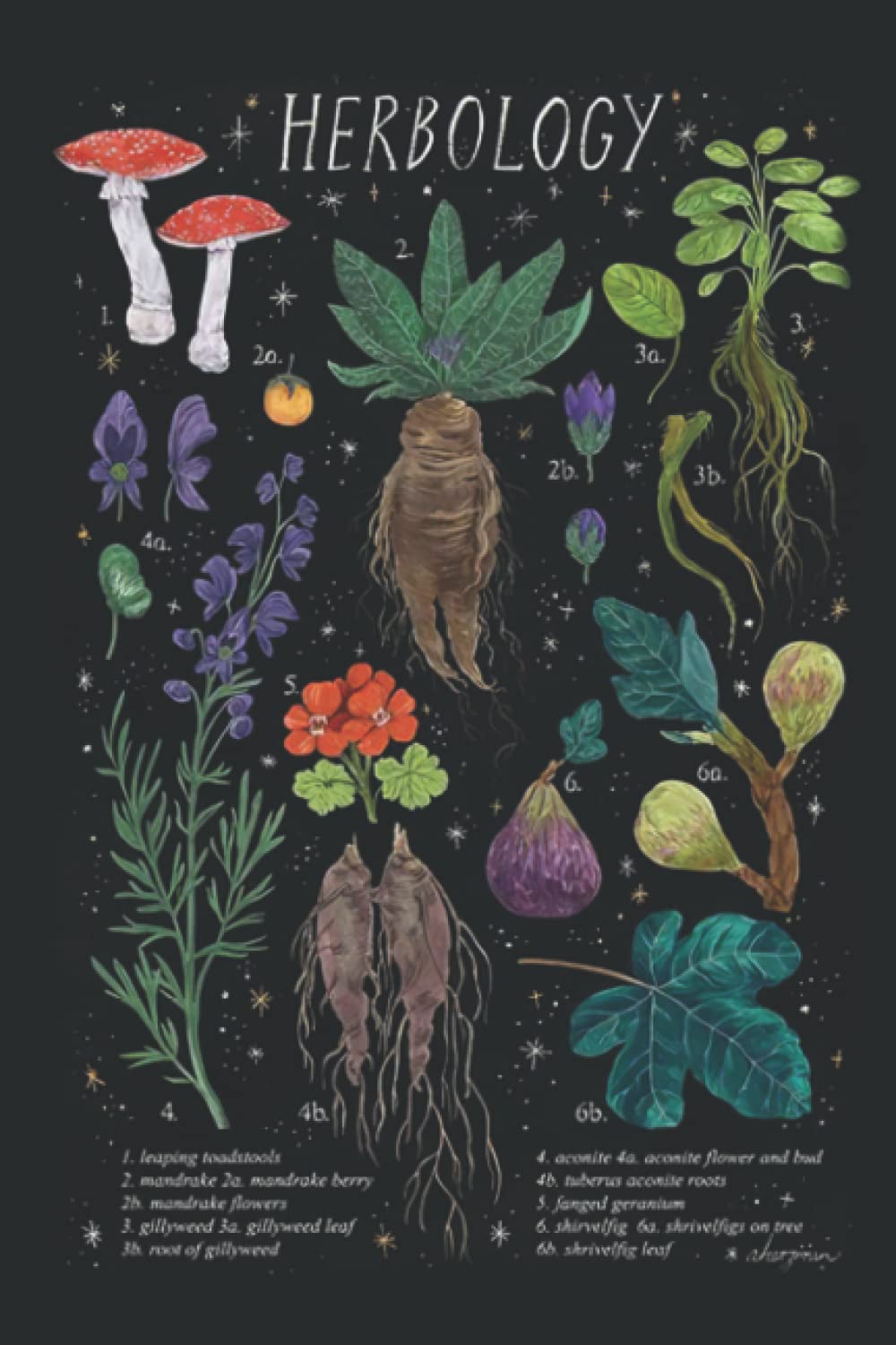 Herbology Notebook 6 x 9 inches with 110 pages by Christopher Hunter