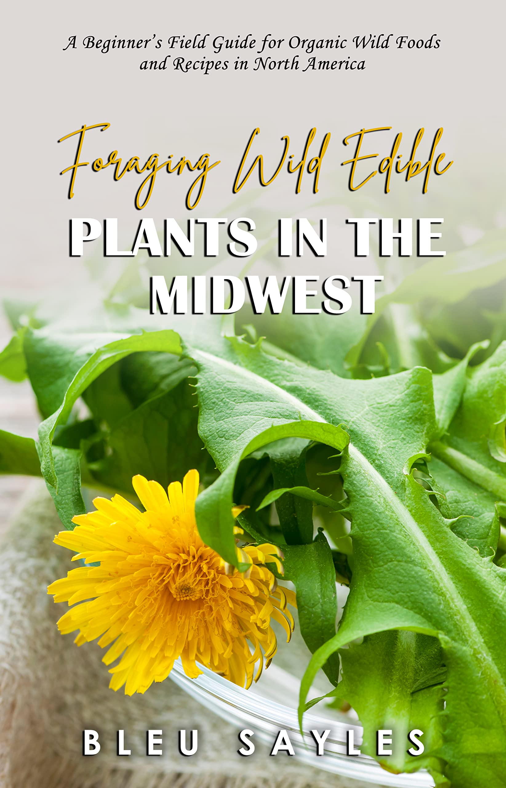 Foraging Wild Edible Plants in the Midwest A Beginner's Field Guide for Organic Wild Foods and