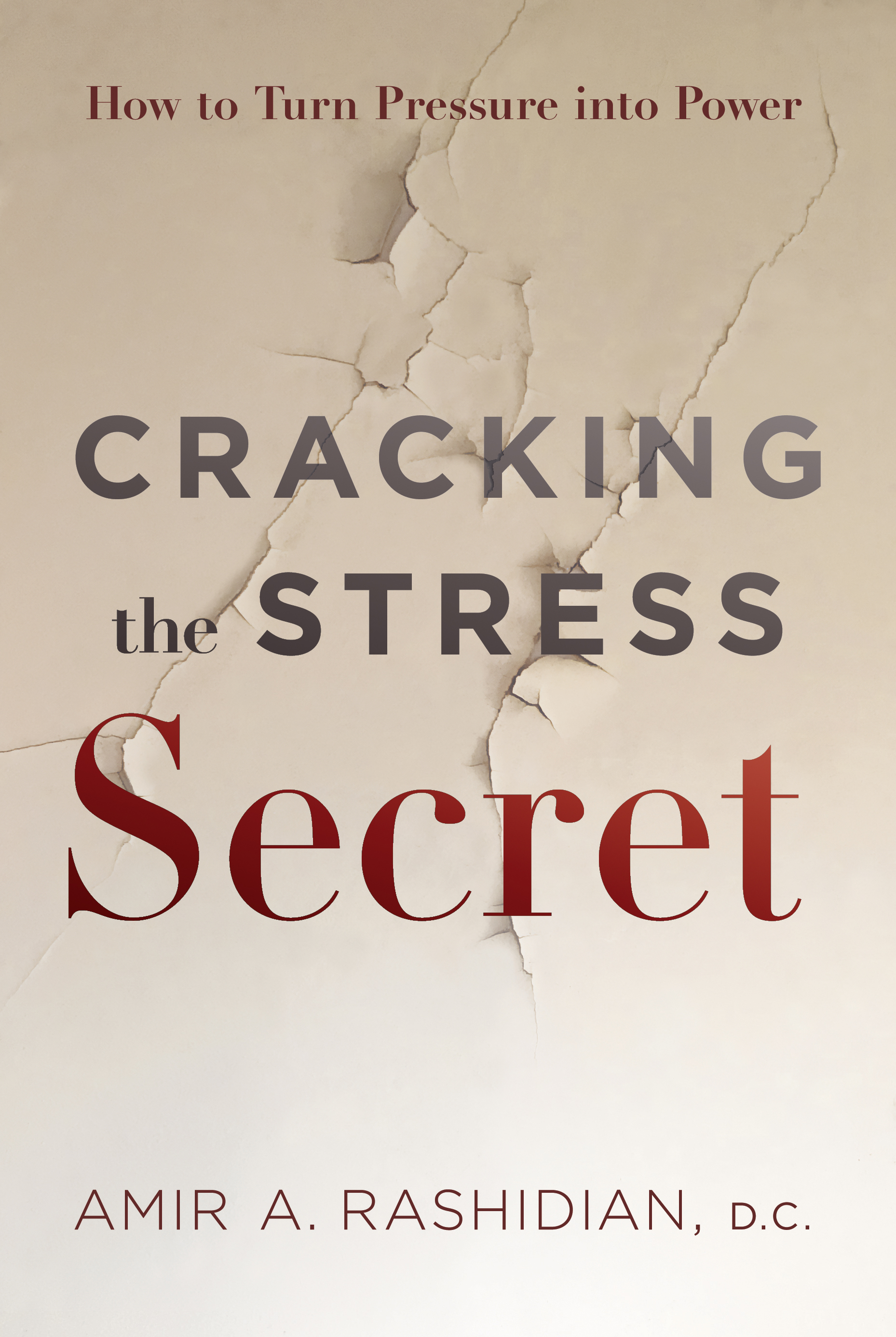 Cracking the Stress Secret: How to Turn Pressure into Power