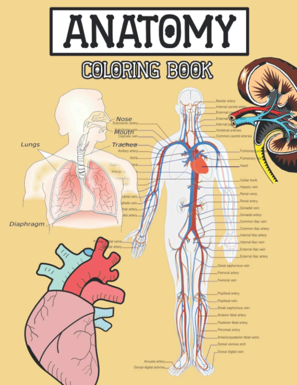Anatomy Coloring Book by H.B Book | Goodreads