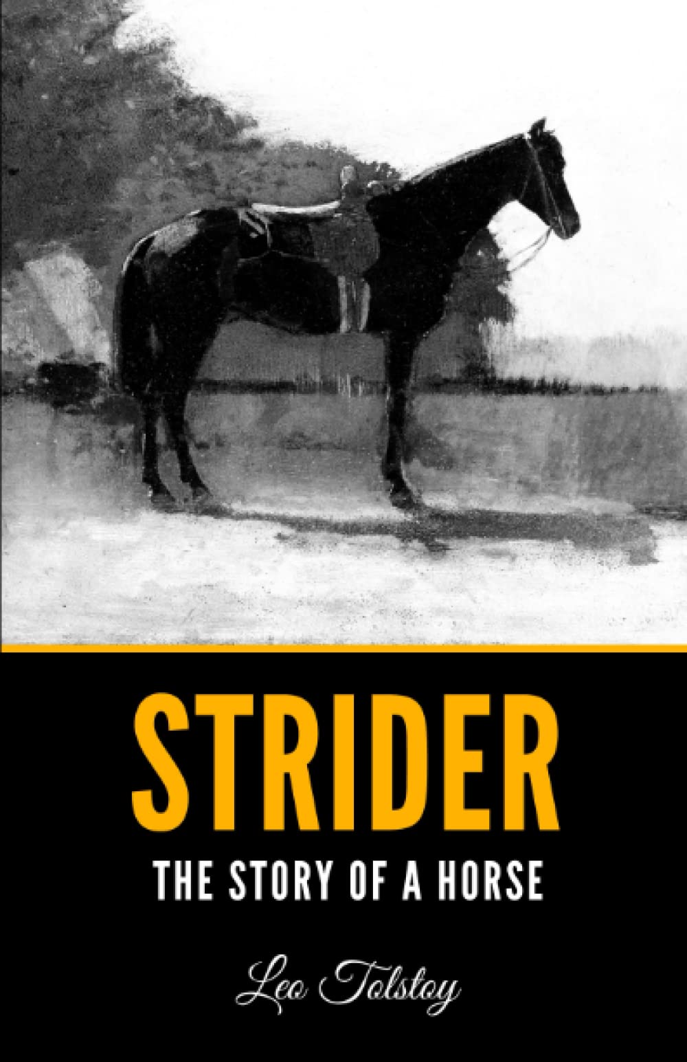 Strider Book Strider: The Story of a Horse by Leo Tolstoy | Goodreads