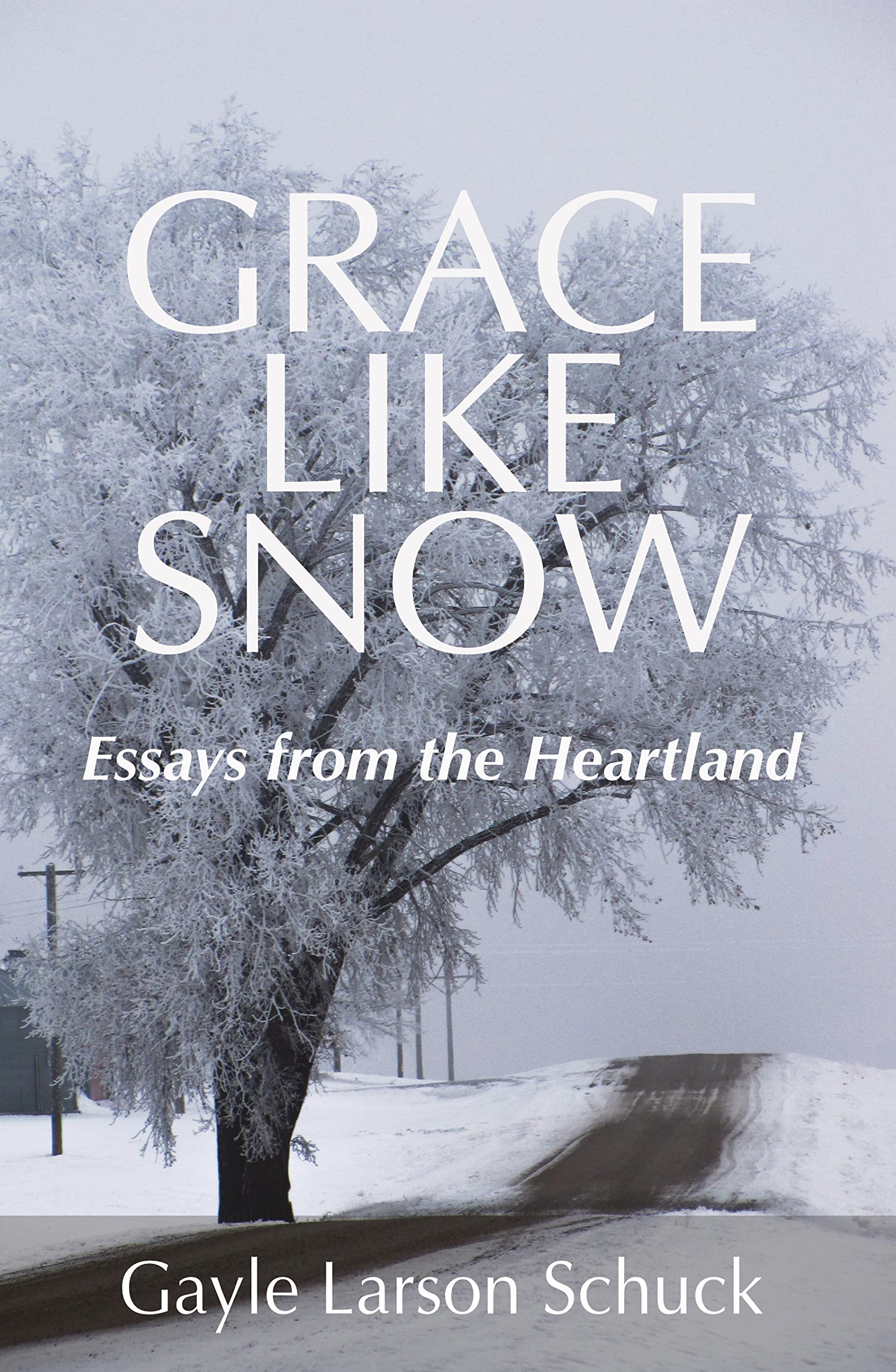 Grace Like Snow: Essays from the Heartland by Gayle Larson Schuck ...