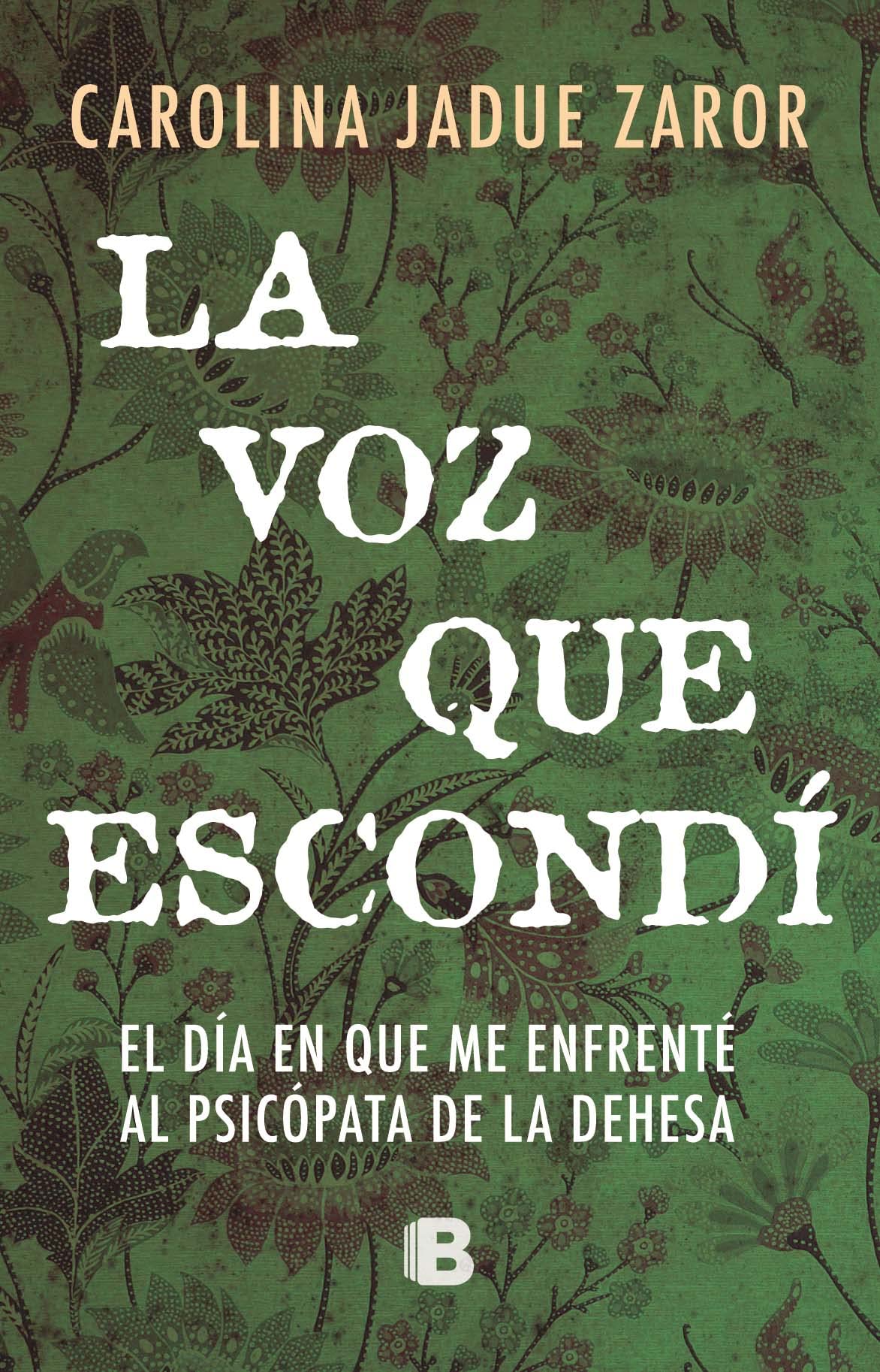 La voz que escondí