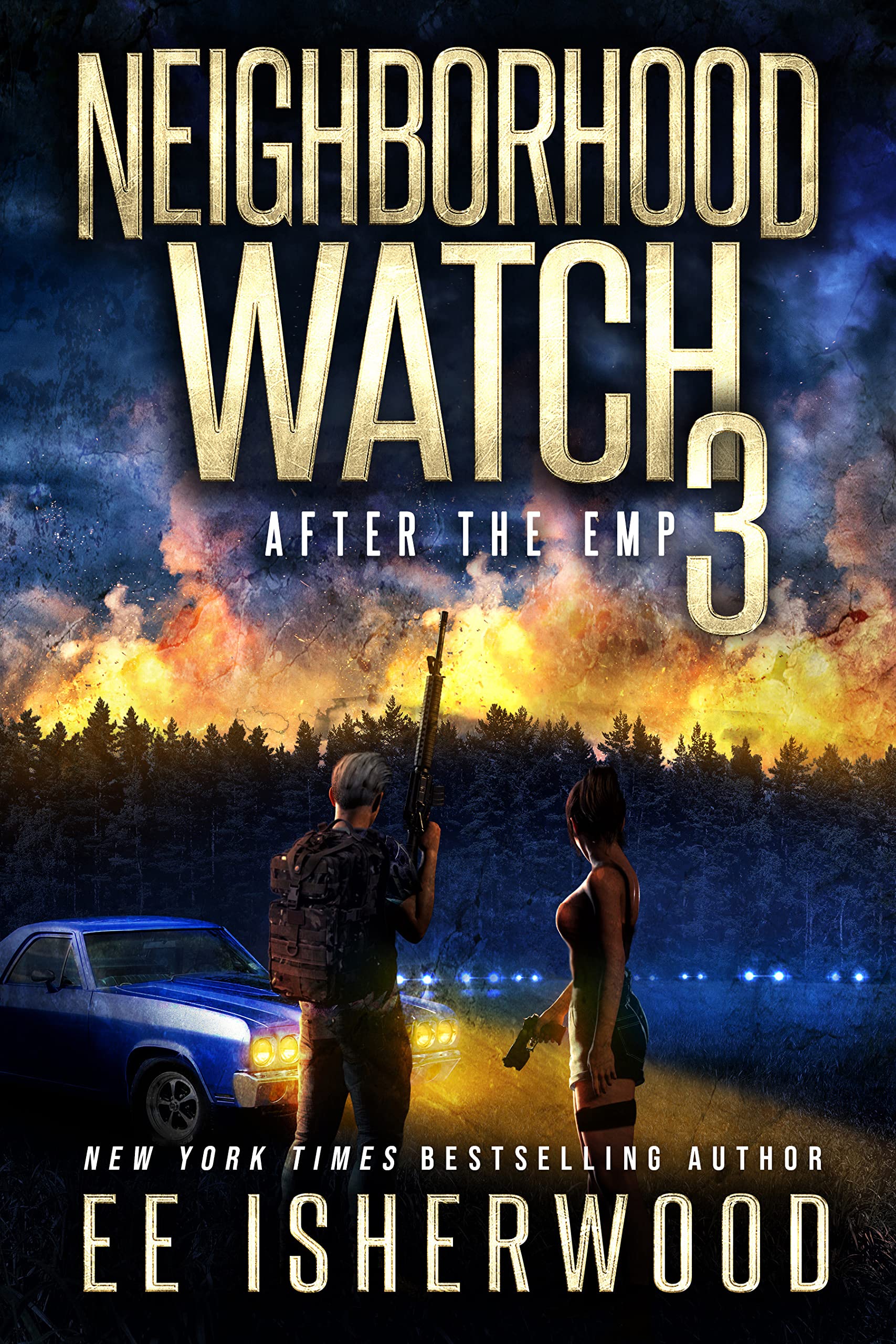 Neighborhood Watch: After the EMP book cover 1