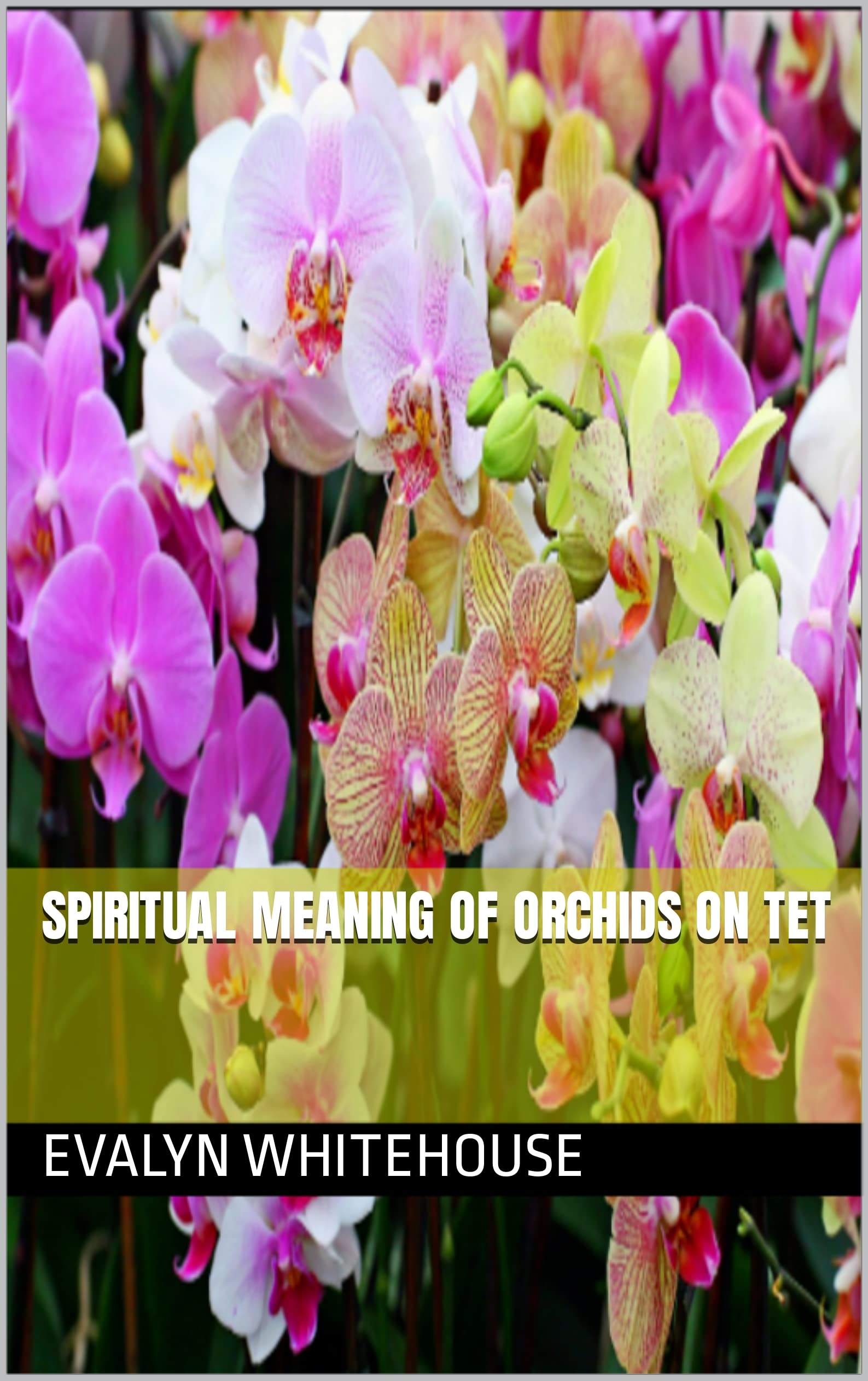 Spiritual meaning of orchids on Tet by Evalyn Whitehouse Goodreads