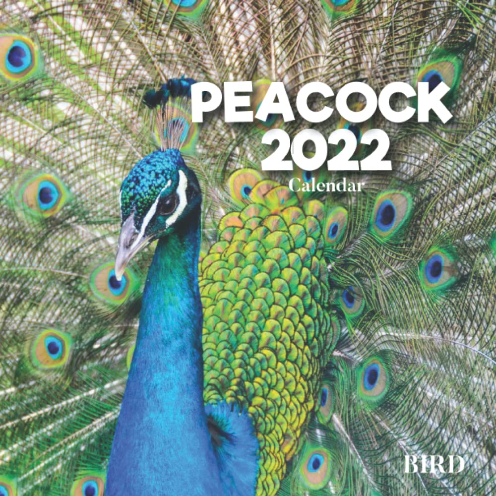 peacock-bird-calendar-2022-a-monthly-and-weekly-calendar-2022-12
