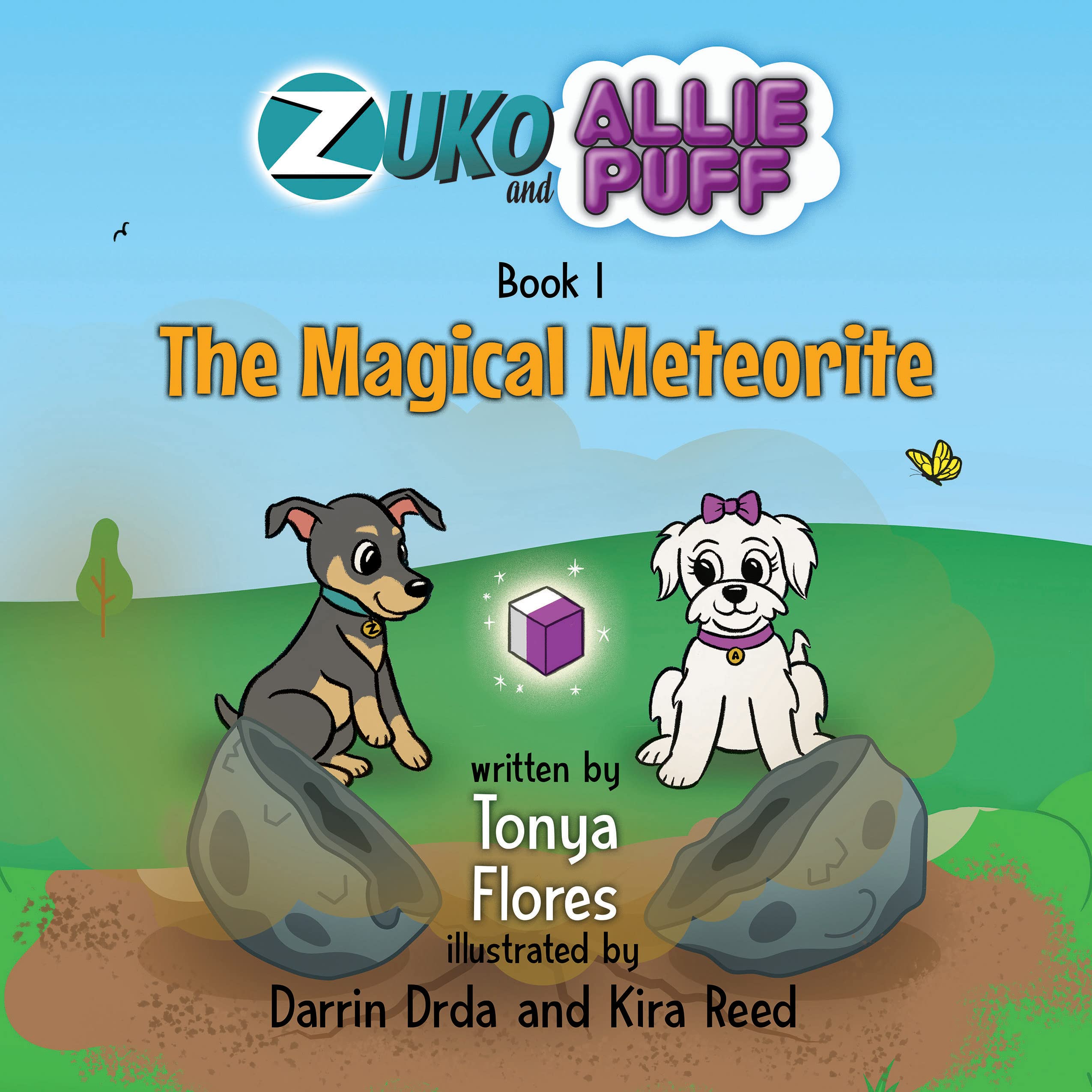 The Magical Meteorite