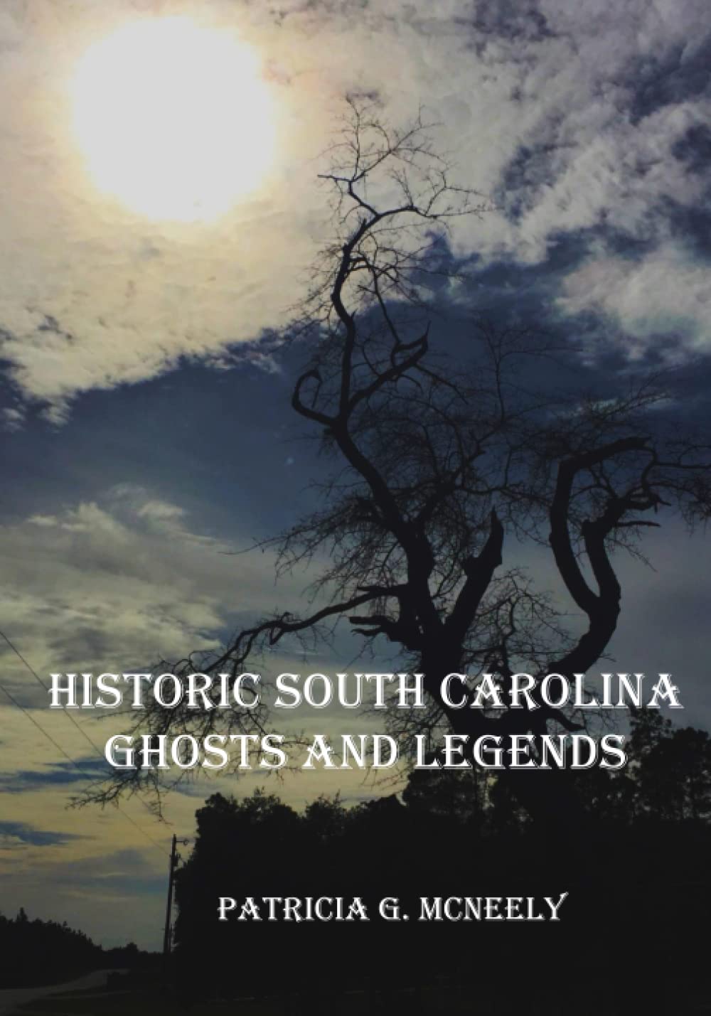 Historic South Carolina Ghosts and Legends by Patricia G. McNeely ...