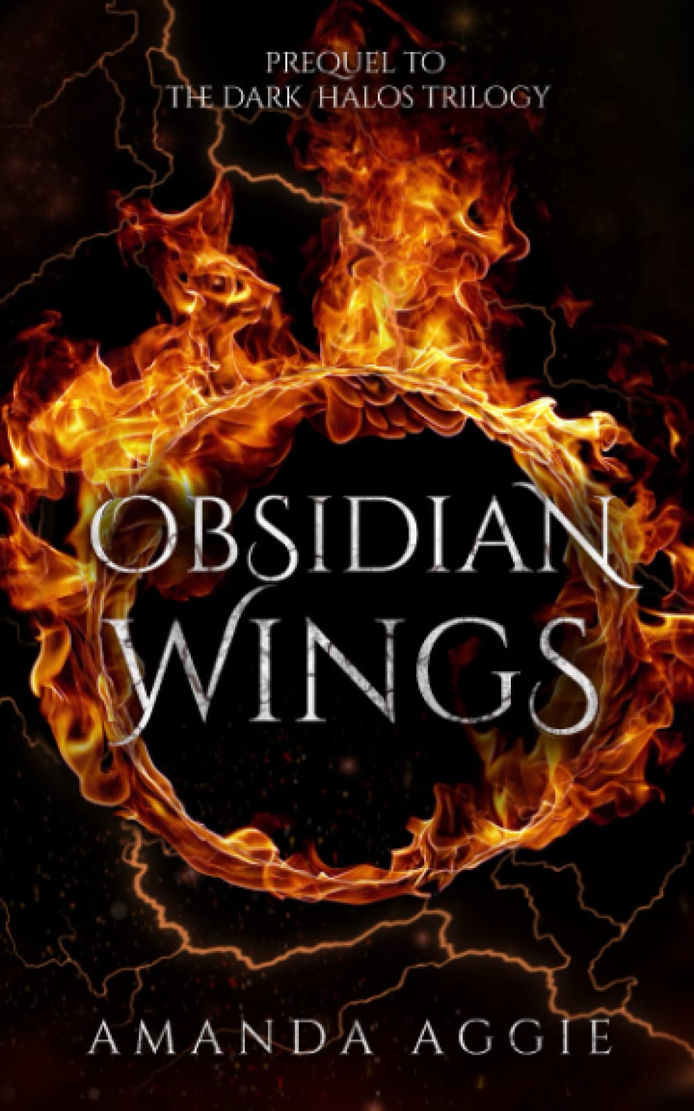 Obsidian Wings (Hells Bells & Demon Deals World) by Amanda Aggie