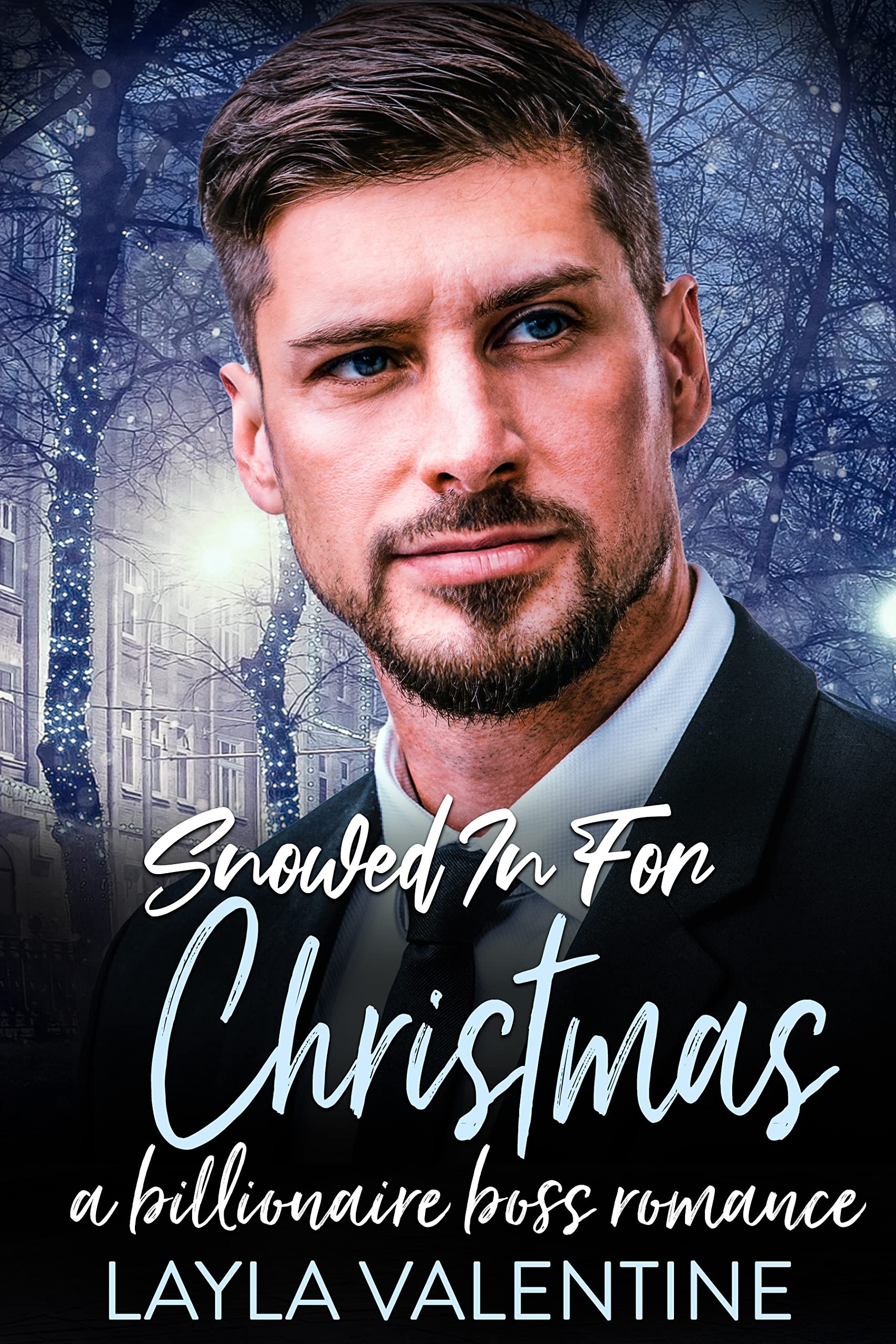 Snowed In For Christmas book cover