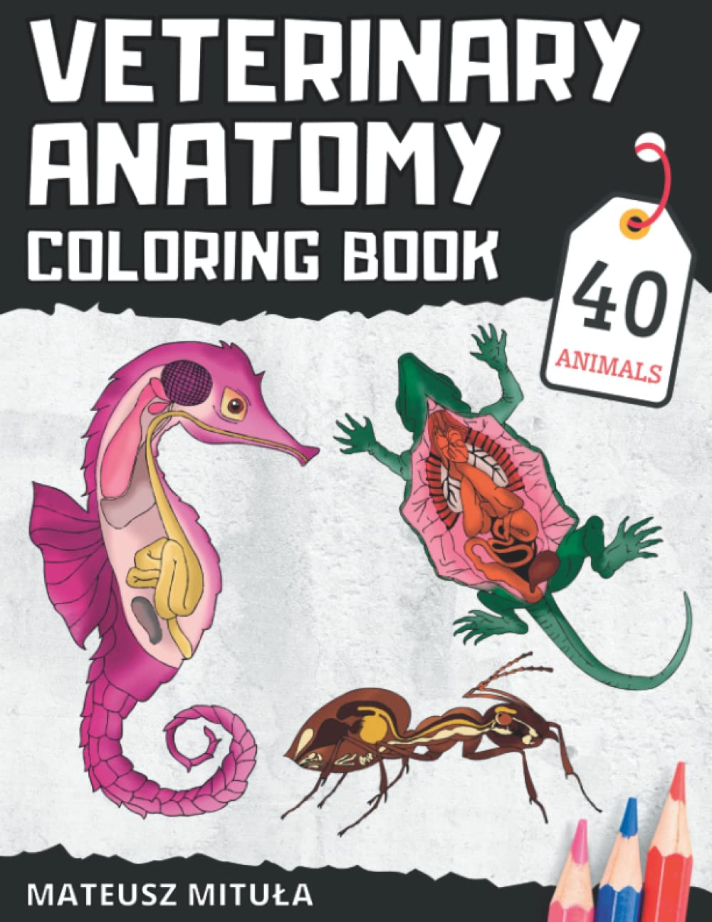 Veterinary Anatomy Coloring Book Animal Anatomy and Physiology, Vet
