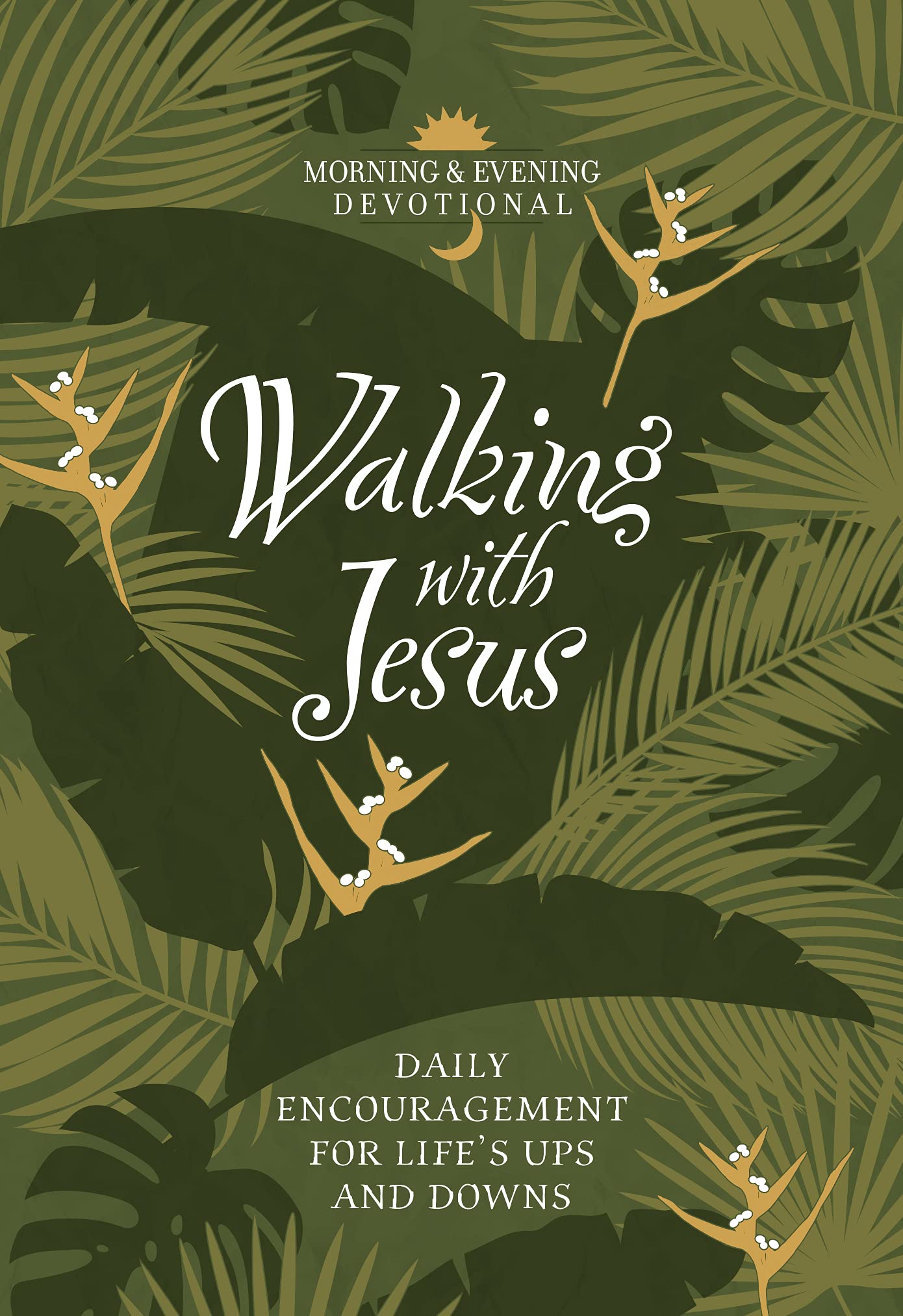 Walking with Jesus Daily Encouragement for Life’s Ups and Downs