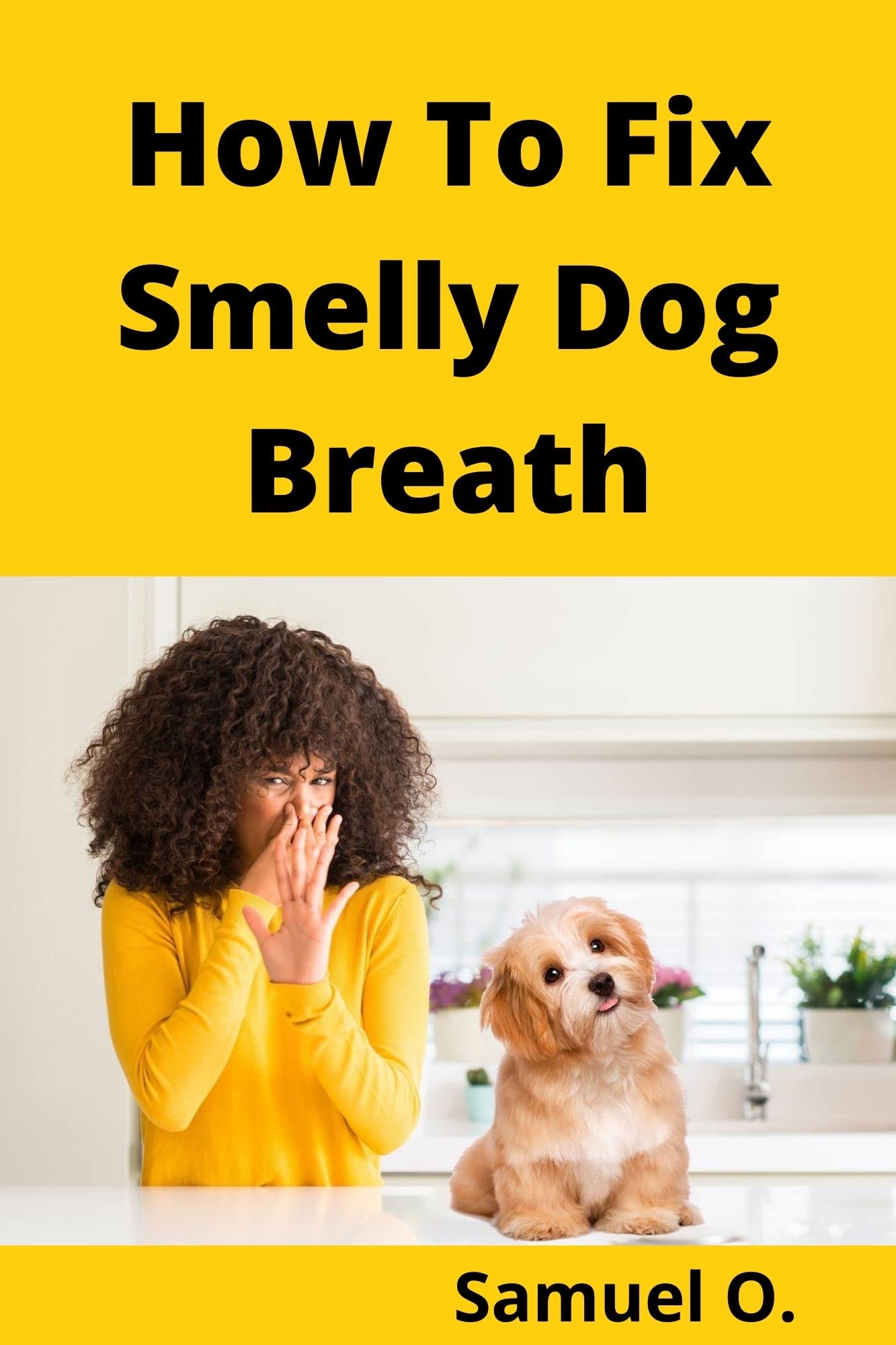 How To Fix Smelly Dog Breath Your Pet Deserves A Good Breath Learn