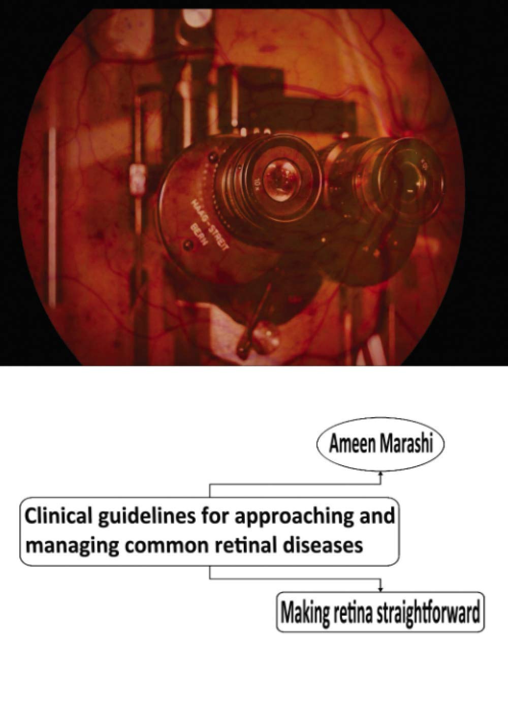 Clinical guidelines for approaching and managing common retinal