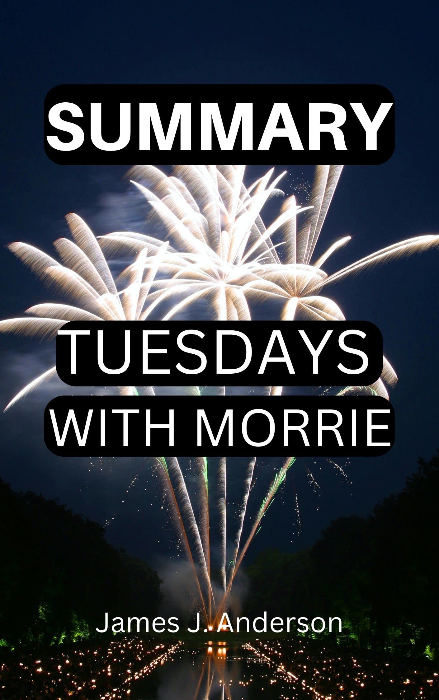 SUMMARY TUESDAYS WITH MORRIE by James J. Anderson Goodreads