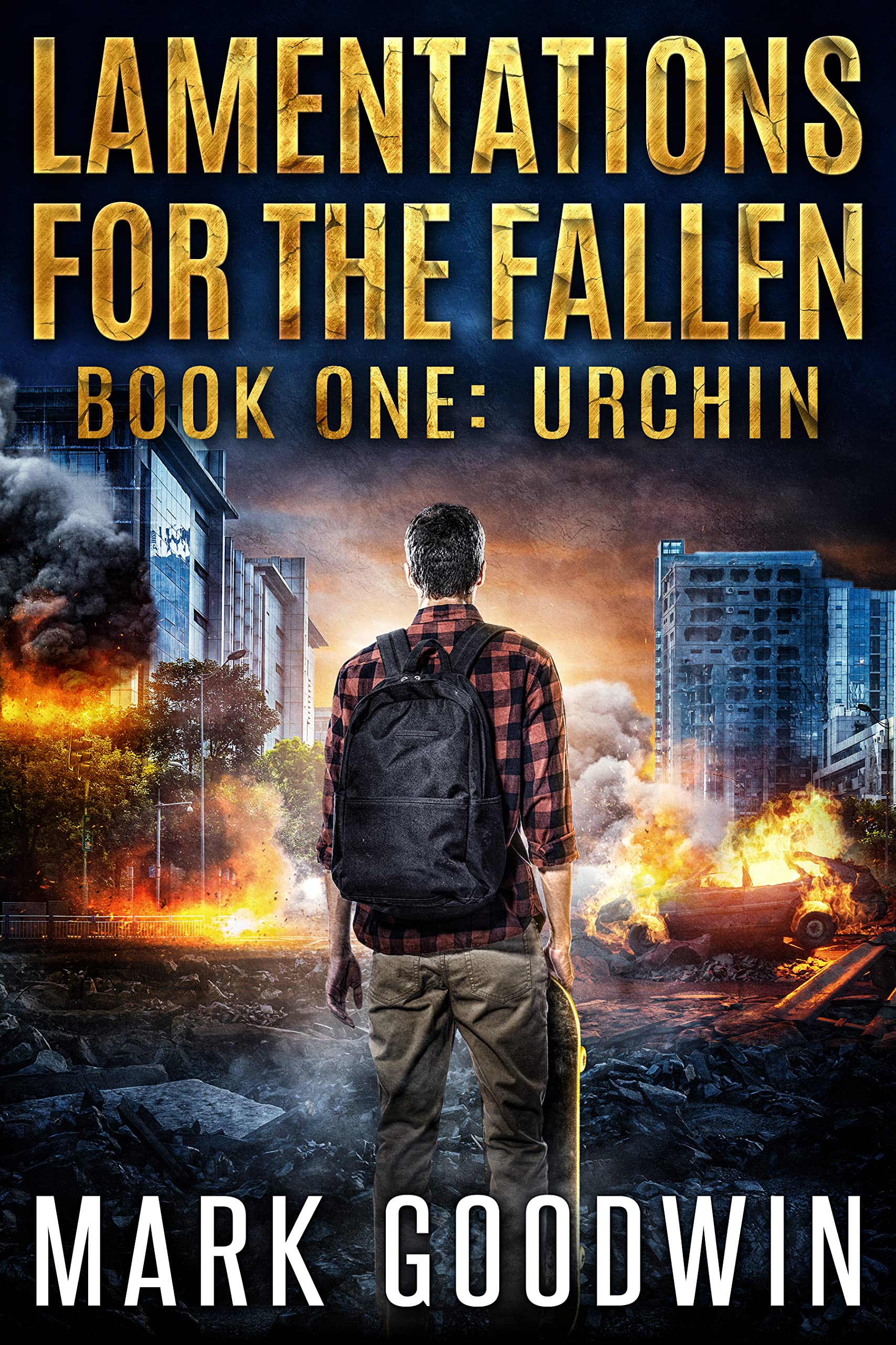 Lamentations for the Fallen book cover 1