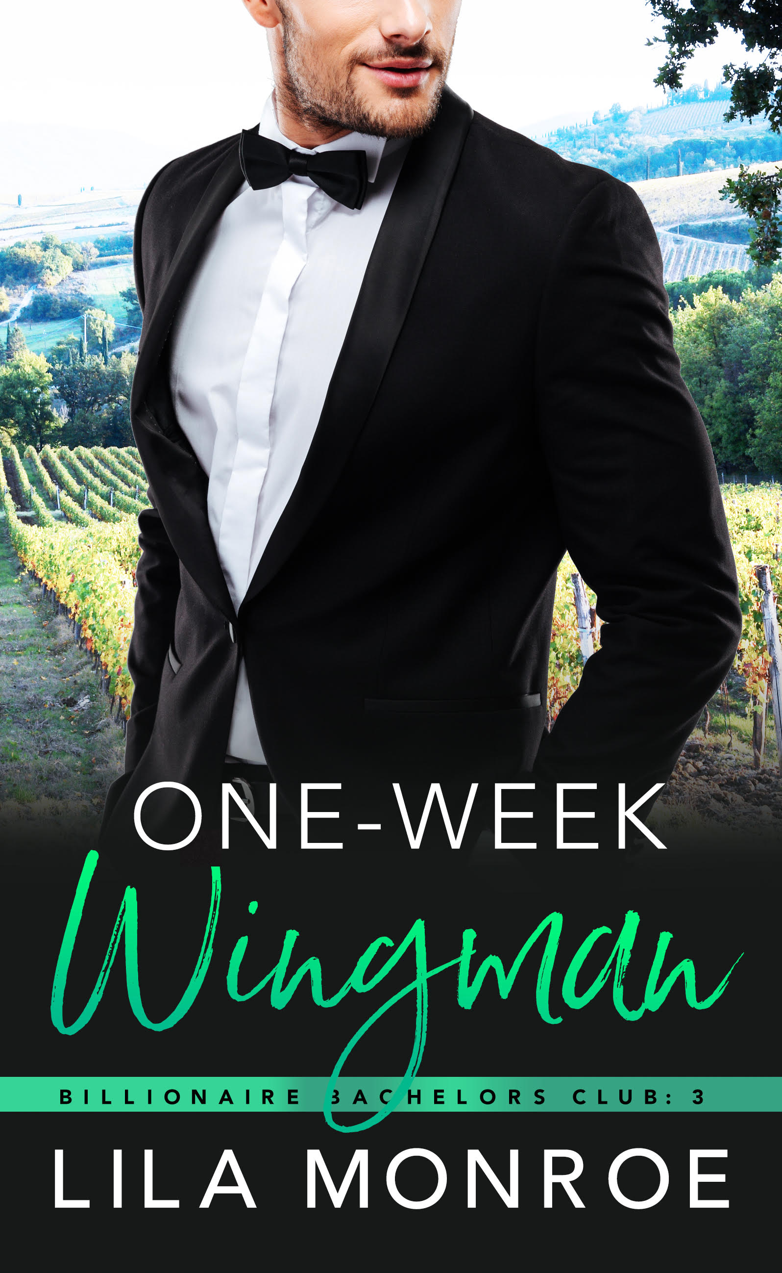 One Week Wingman book cover