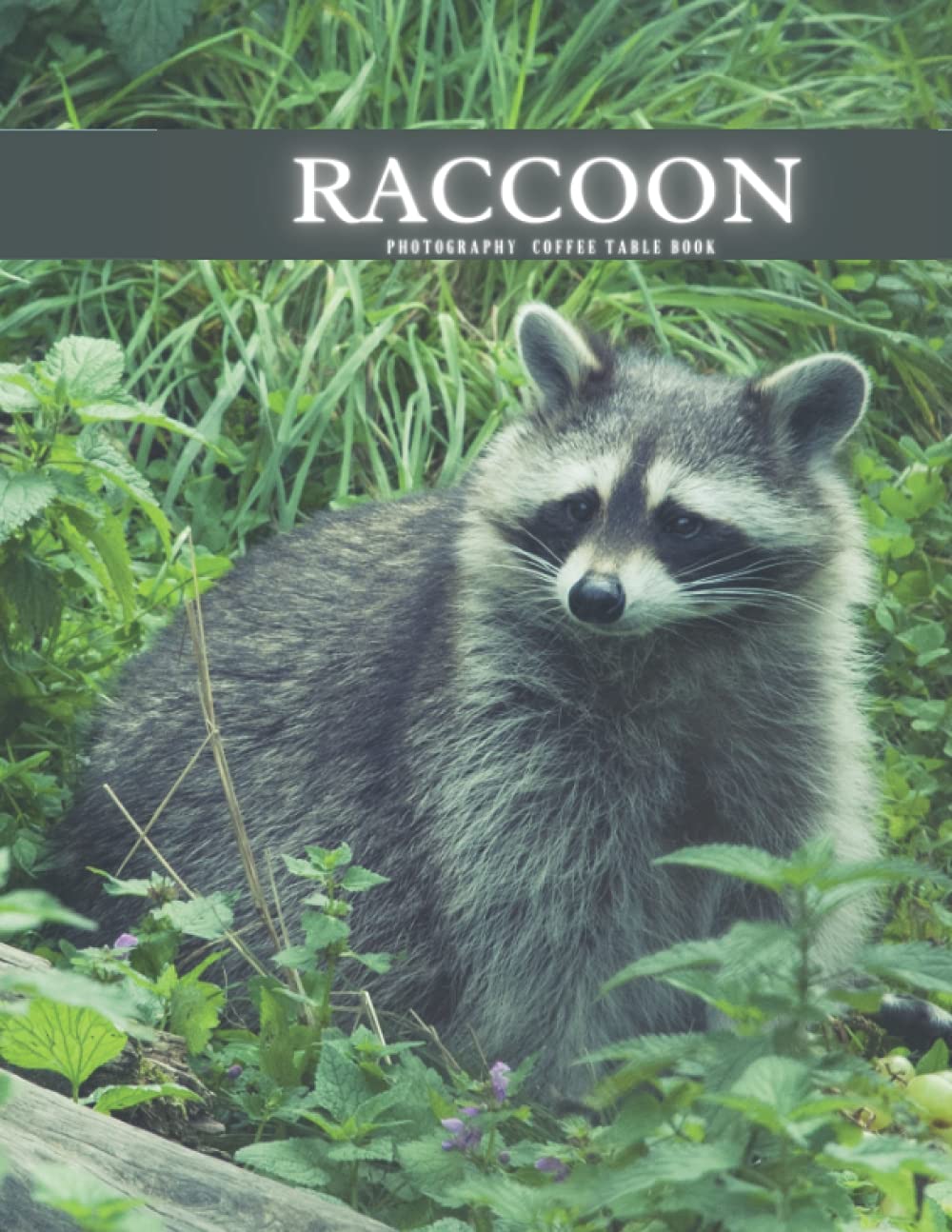 Raccoon Photography Coffee Table Book For Relaxing , Meditation and