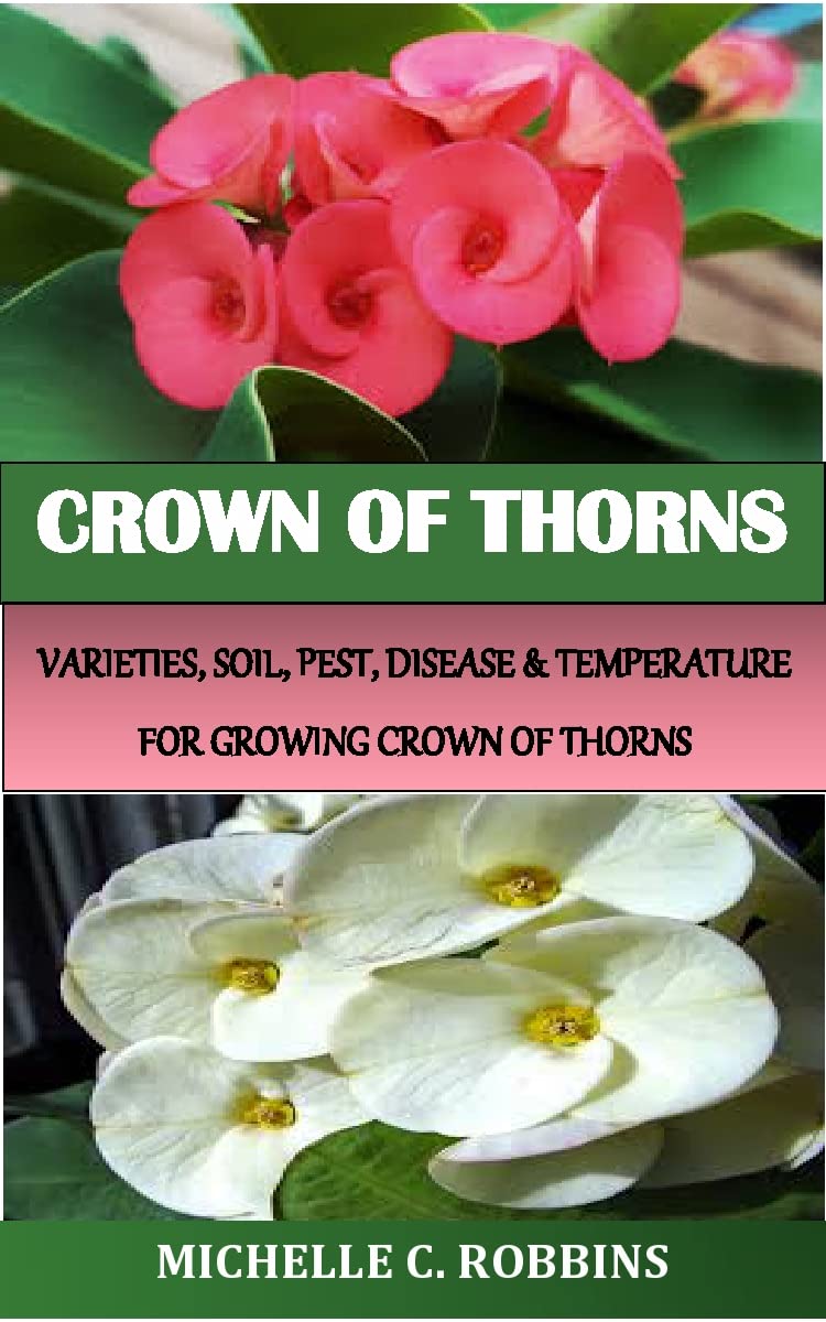 CROWN OF THORNS: VARIETIES, SOIL, PEST, DISEASE & TEMPERATURE FOR