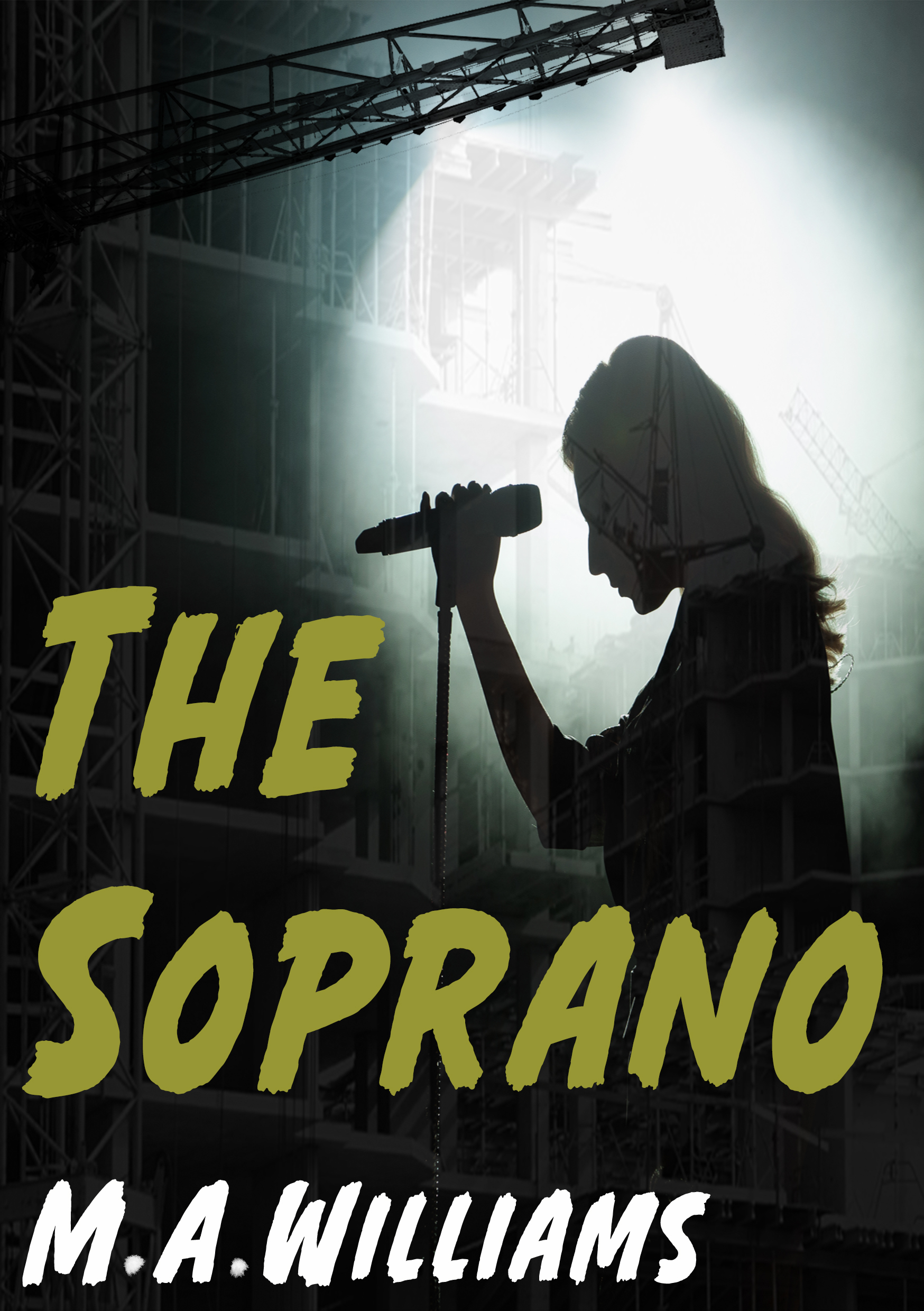 The Truth About Sarah Illustrates: The Leaked Evidence - ukoj104