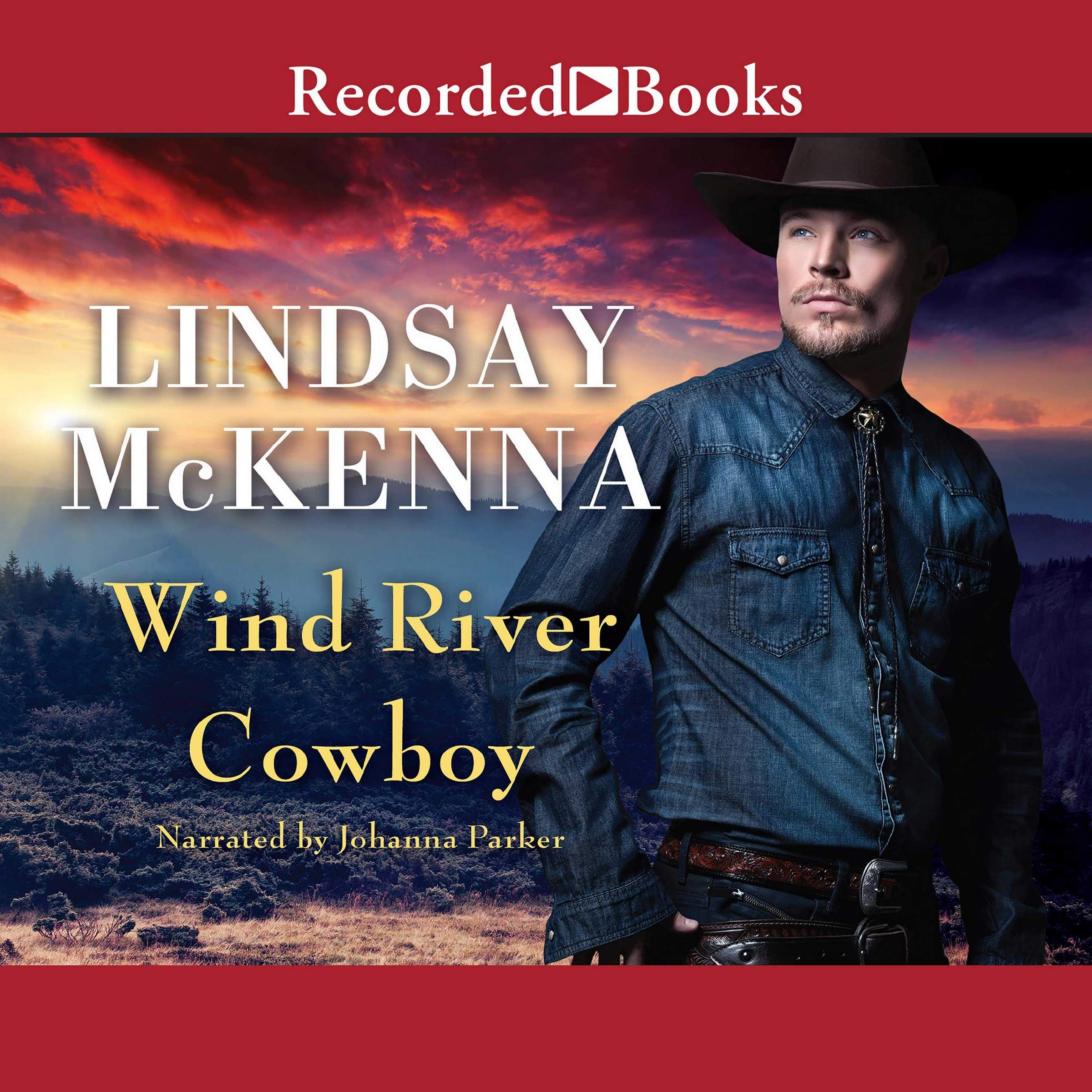 Wind River Cowboy (The Wind River Valley Series) by Lindsay