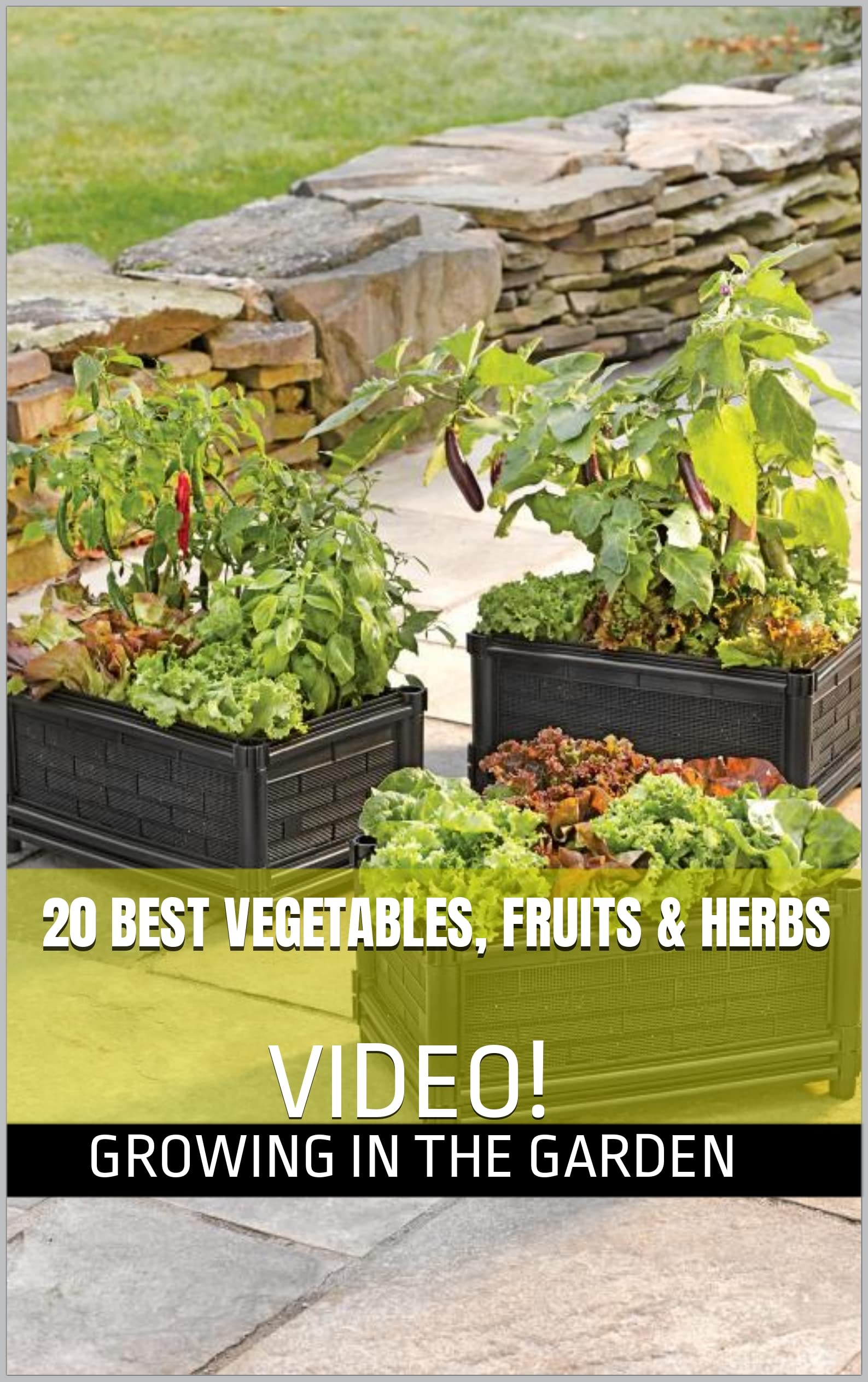 20 BEST Vegetables, Fruits & Herbs for CONTAINER GARDENING VIDEO by
