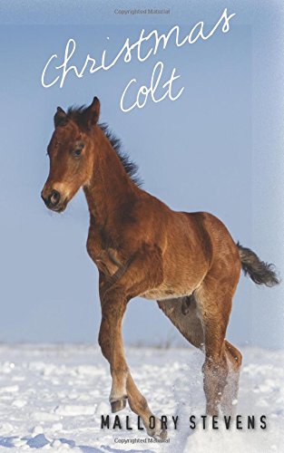 The Christmas Colt by Stevens Mallory | Goodreads