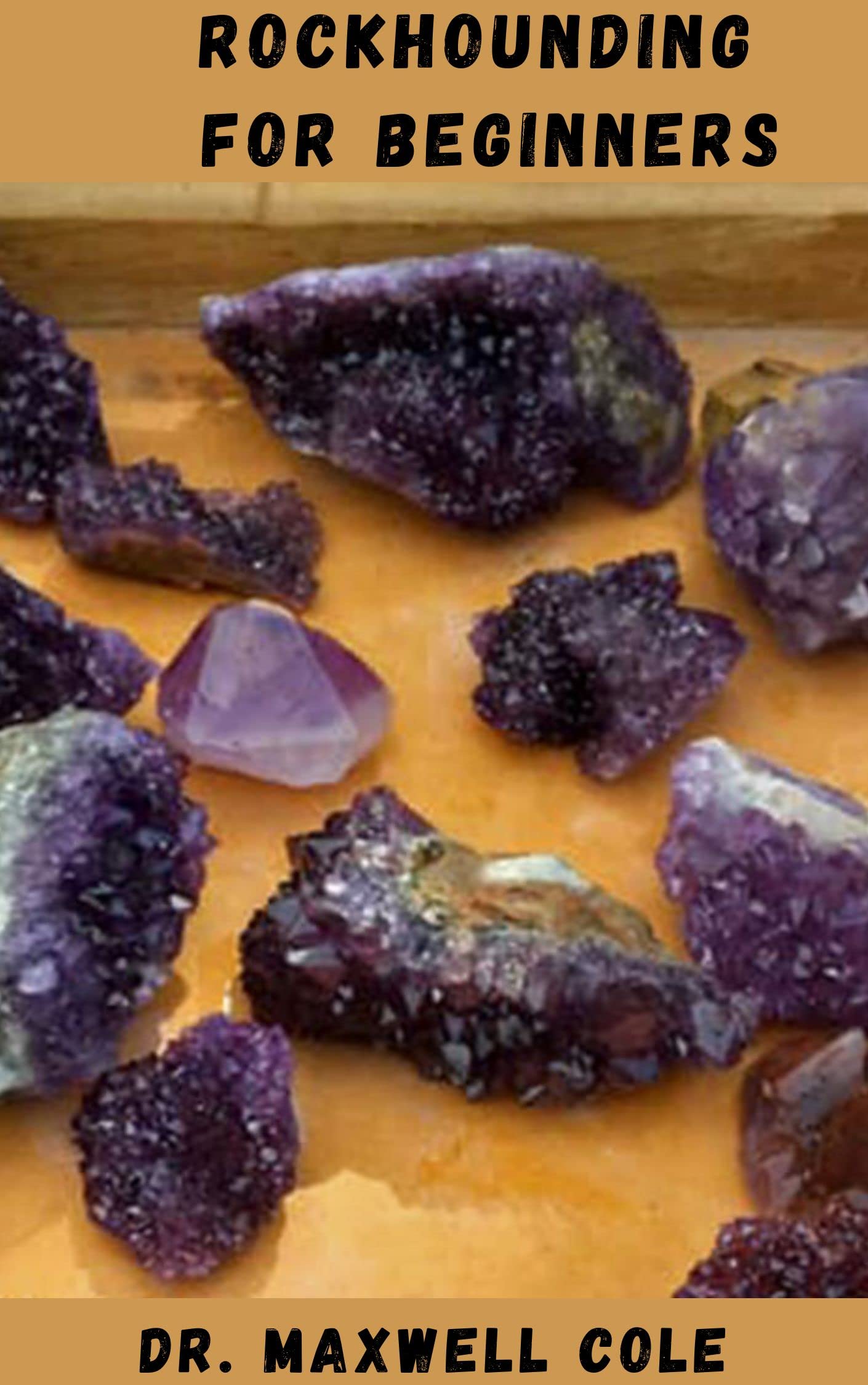 ROCKHOUNDING FOR BEGINNERS Enjoy All Nature Has To Offer With This