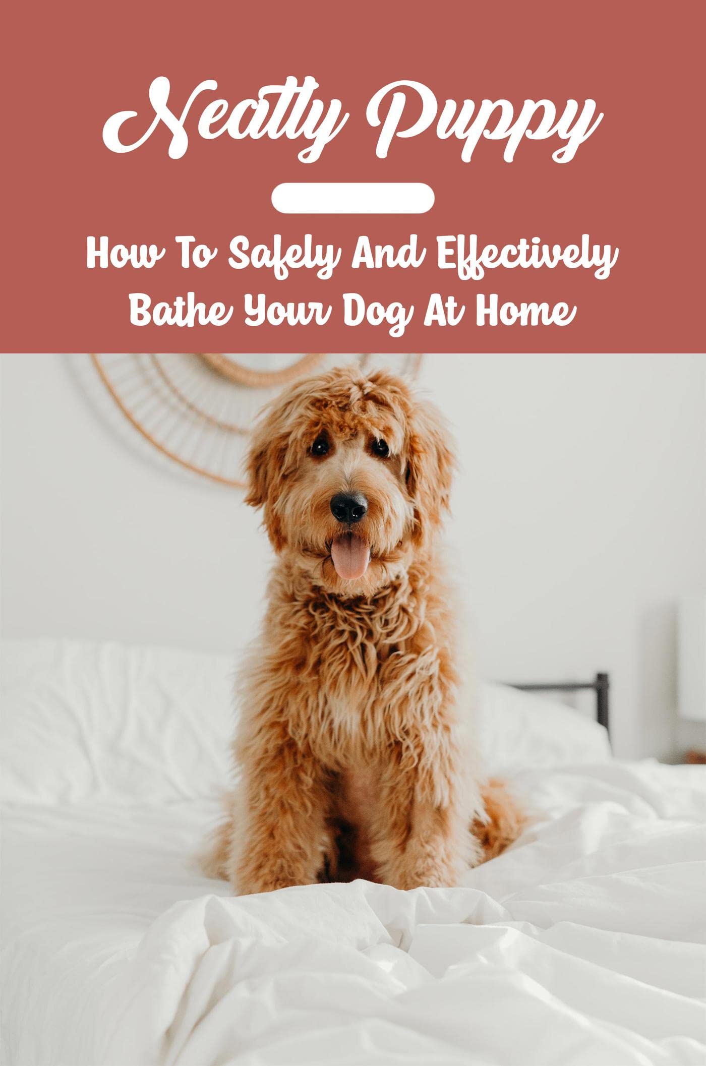 Neatly Puppy How To Safely And Effectively Bathe Your Dog At Home by