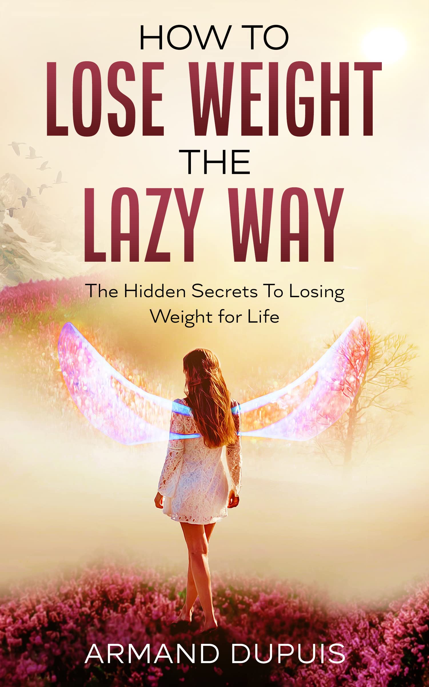 How to Lose Weight The Lazy Way The NoDiet WeightLoss Plan Keep
