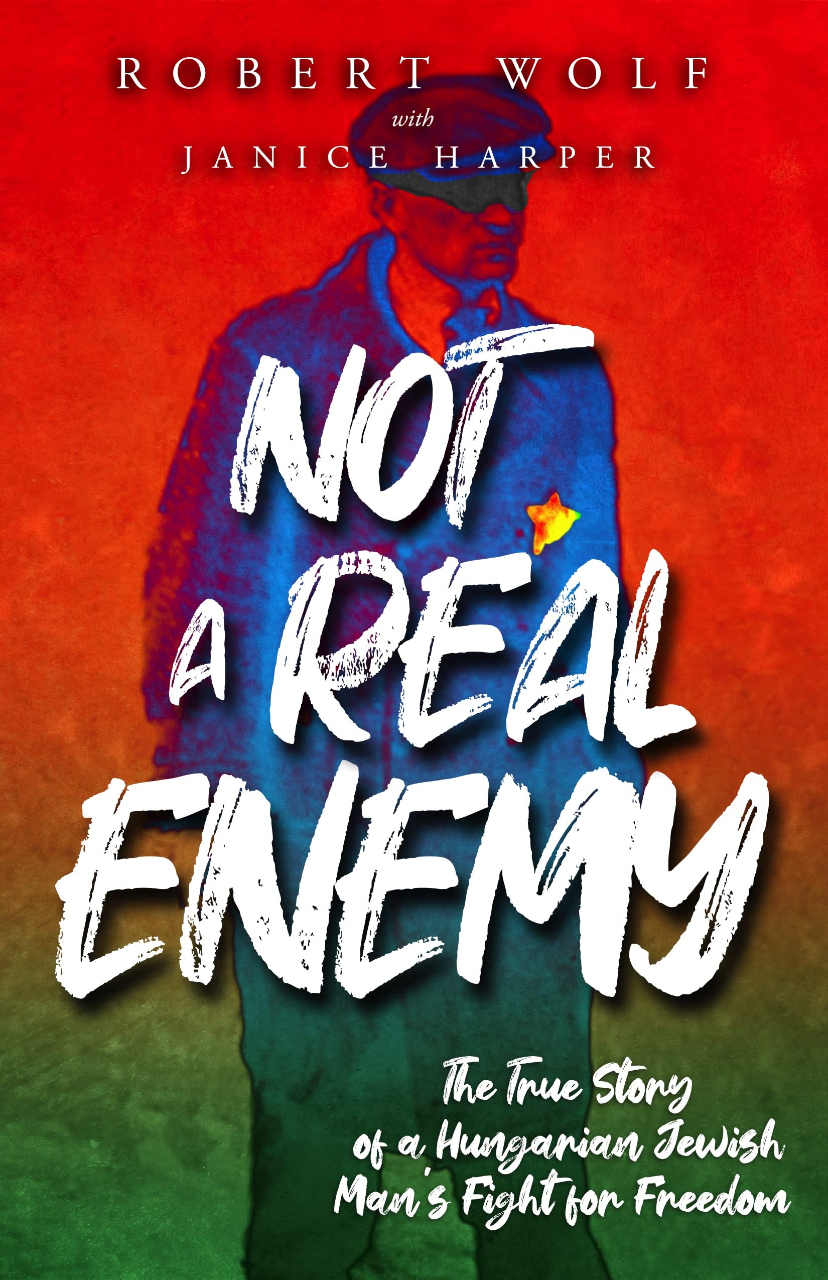 Not A Real Enemy: The True Story of a Hungarian Jewish Man’s Fight for Freedom