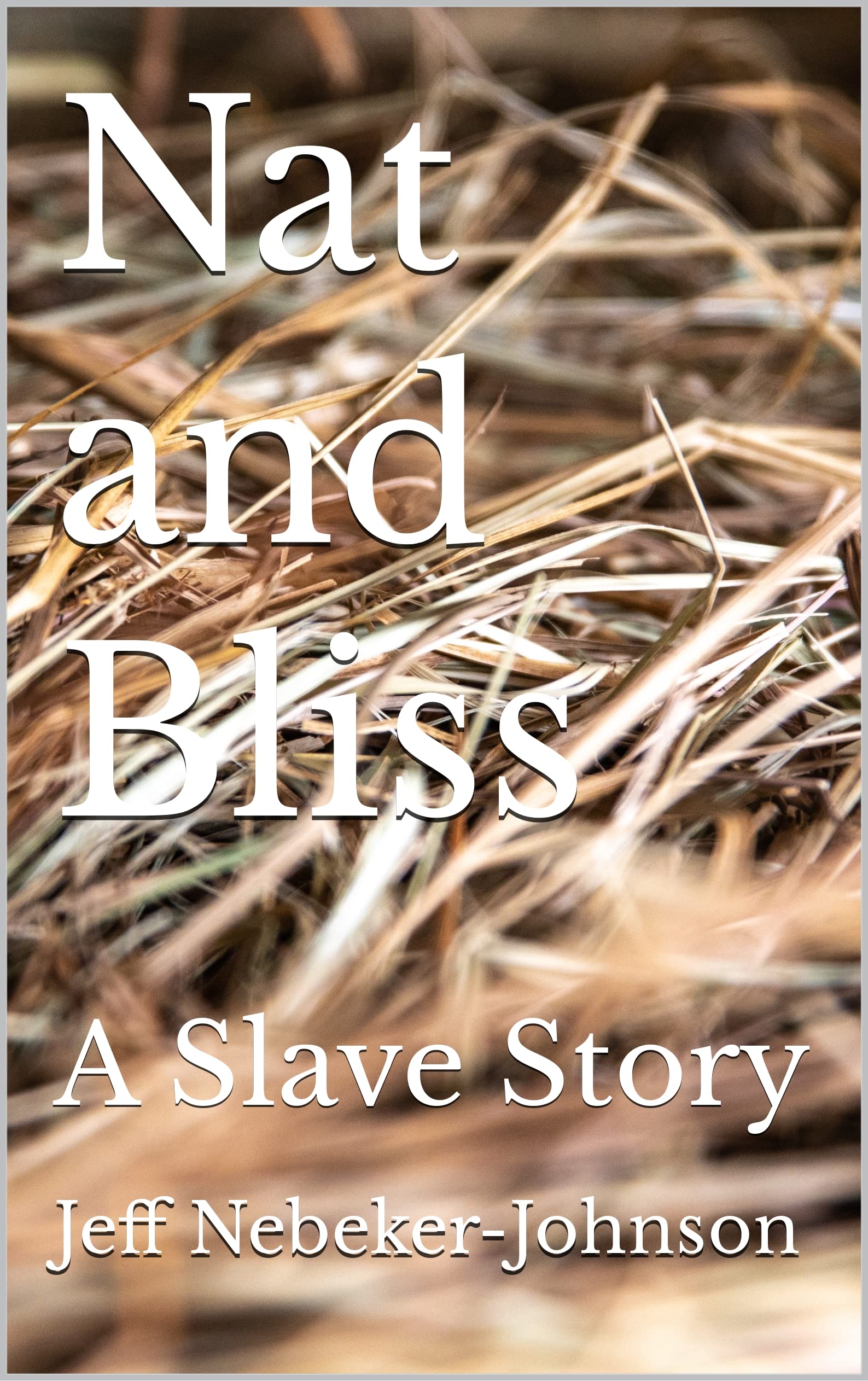 Nat and Bliss: A Slave Story