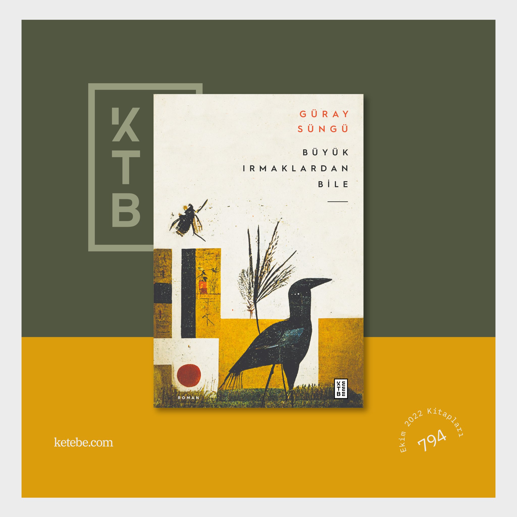 Büyük Irmaklardan Bile book cover