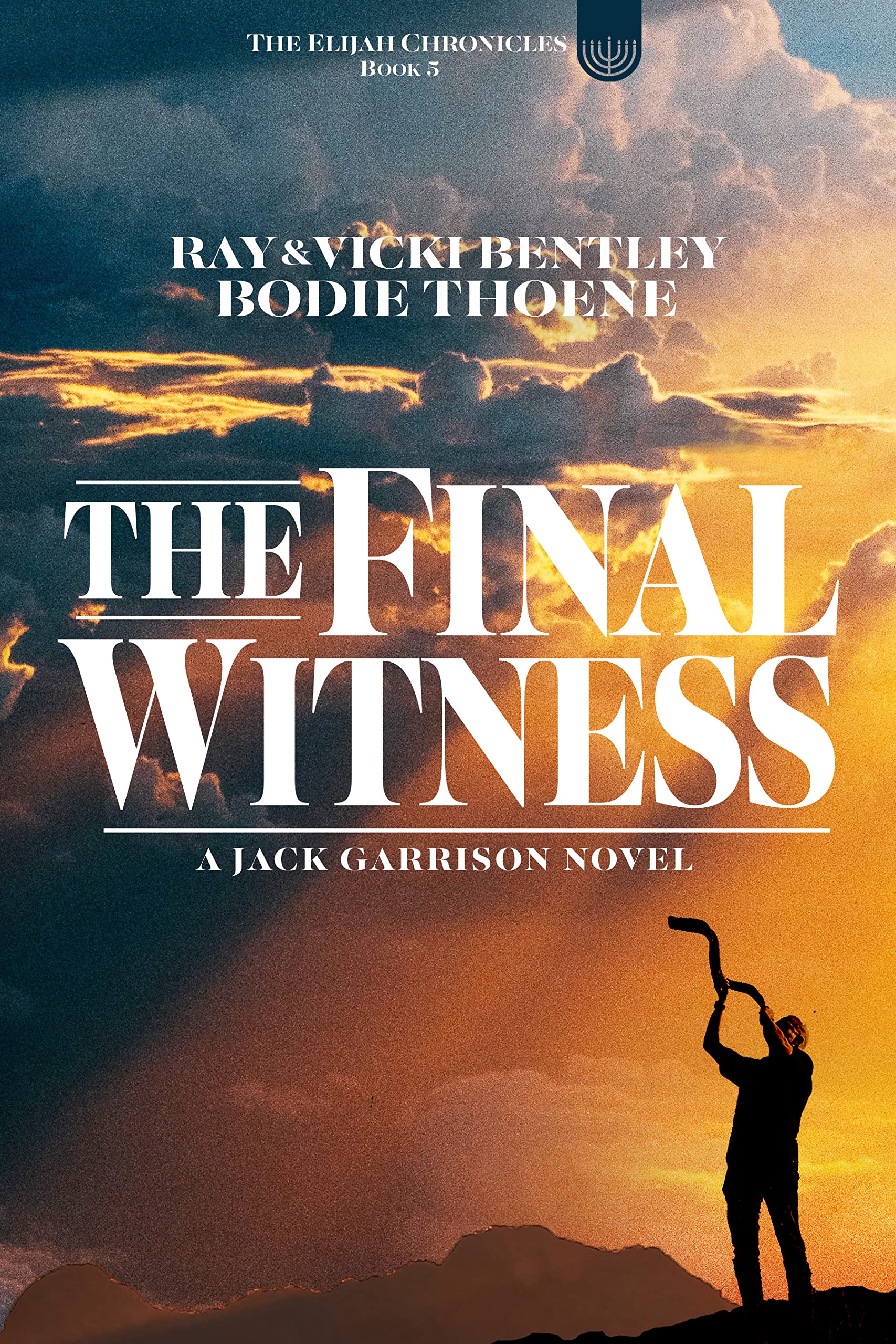 The Final Witness book cover