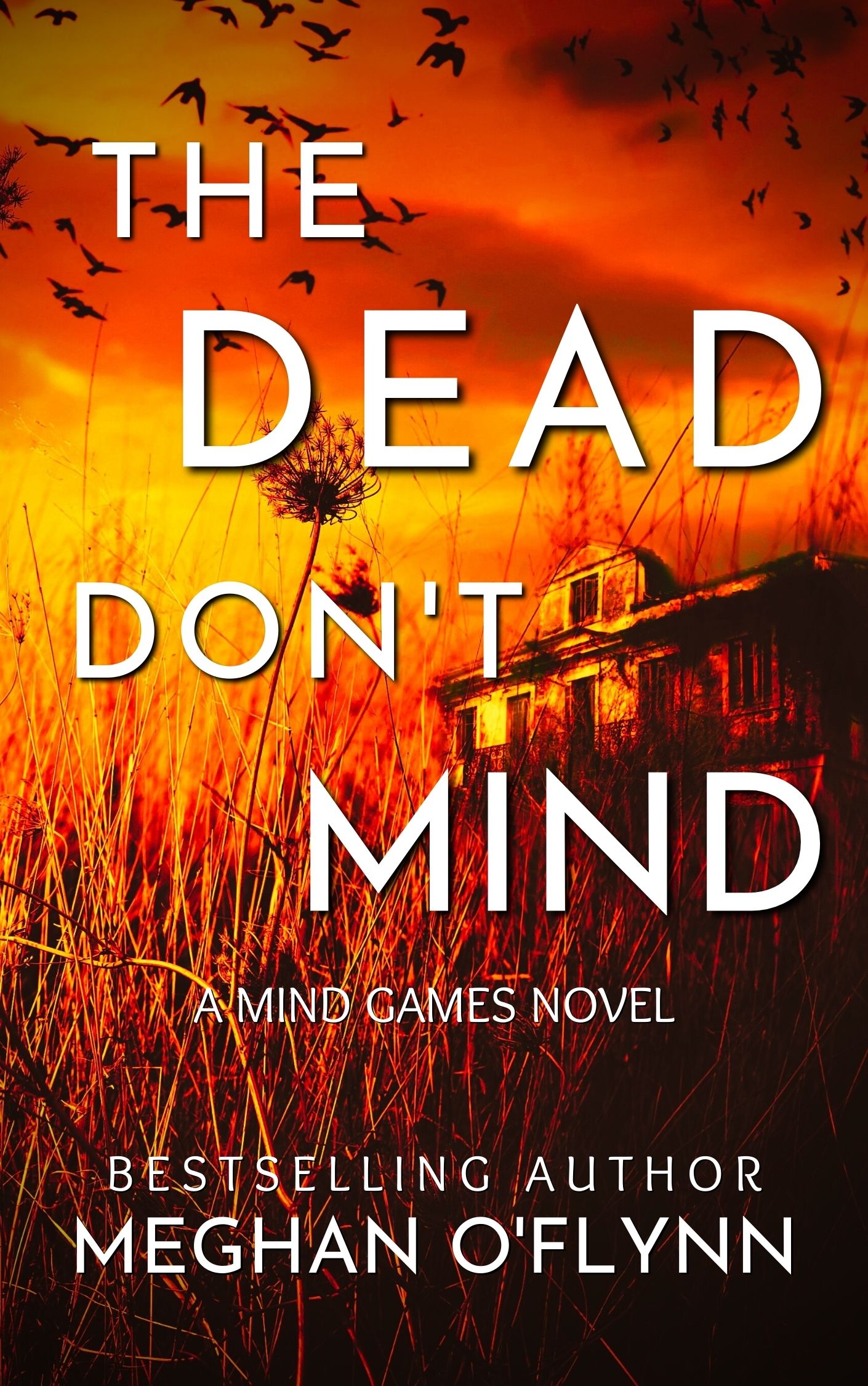 Mind Games book cover 2