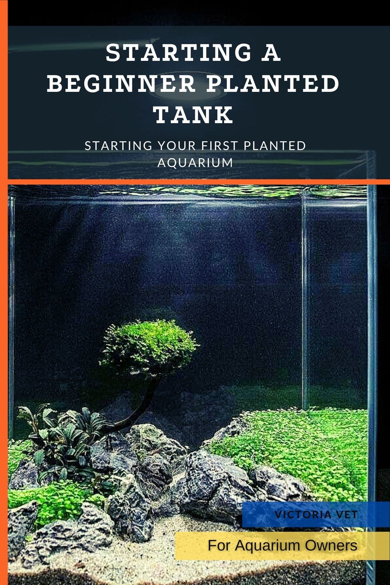 Starting a Beginner Planted Tank Starting Your First Planted Aquarium