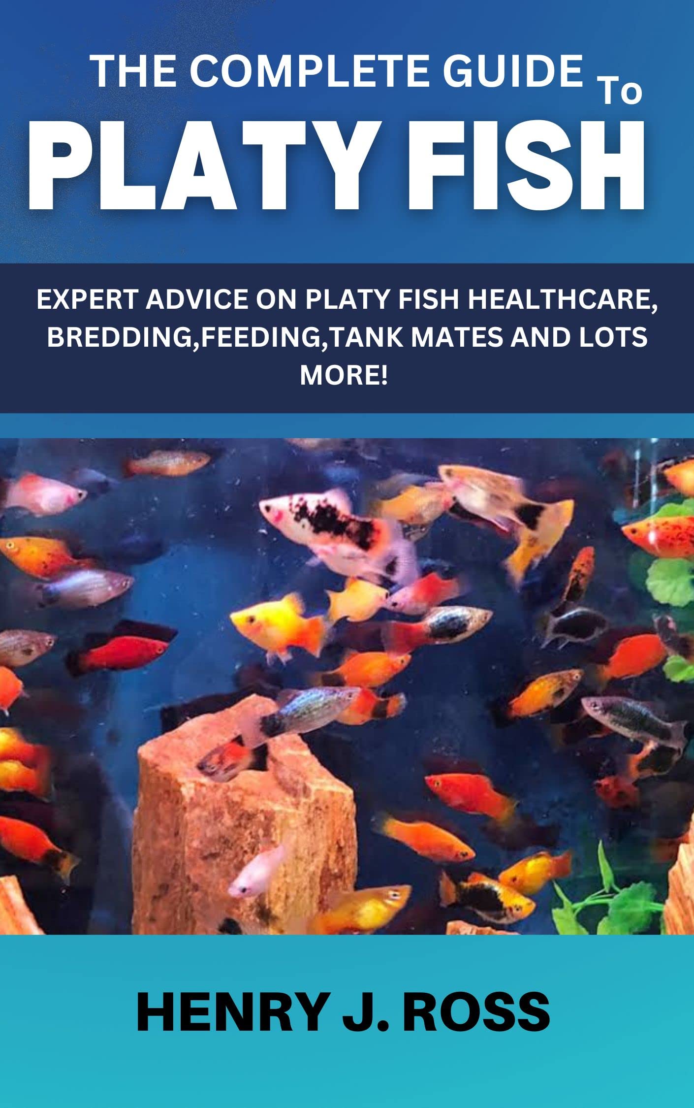 THE COMPLETE GUIDE TO PLATY FISH EXPERT ADVICE ON PLATY FISH the-complete-guide-to-platy-fish-expert-advice-on-platy-fish