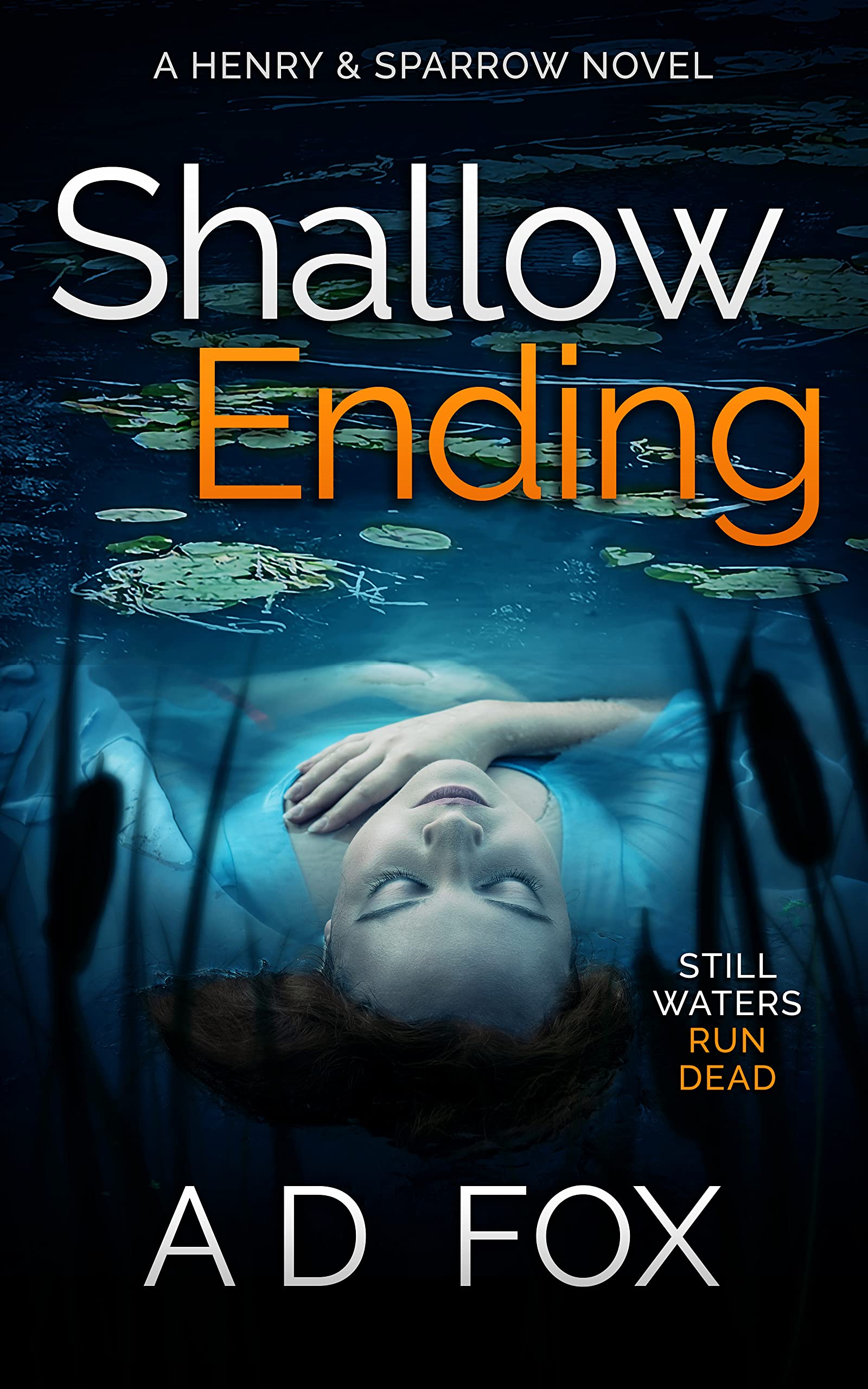 Shallow Ending: A Henry & Sparrow Novel