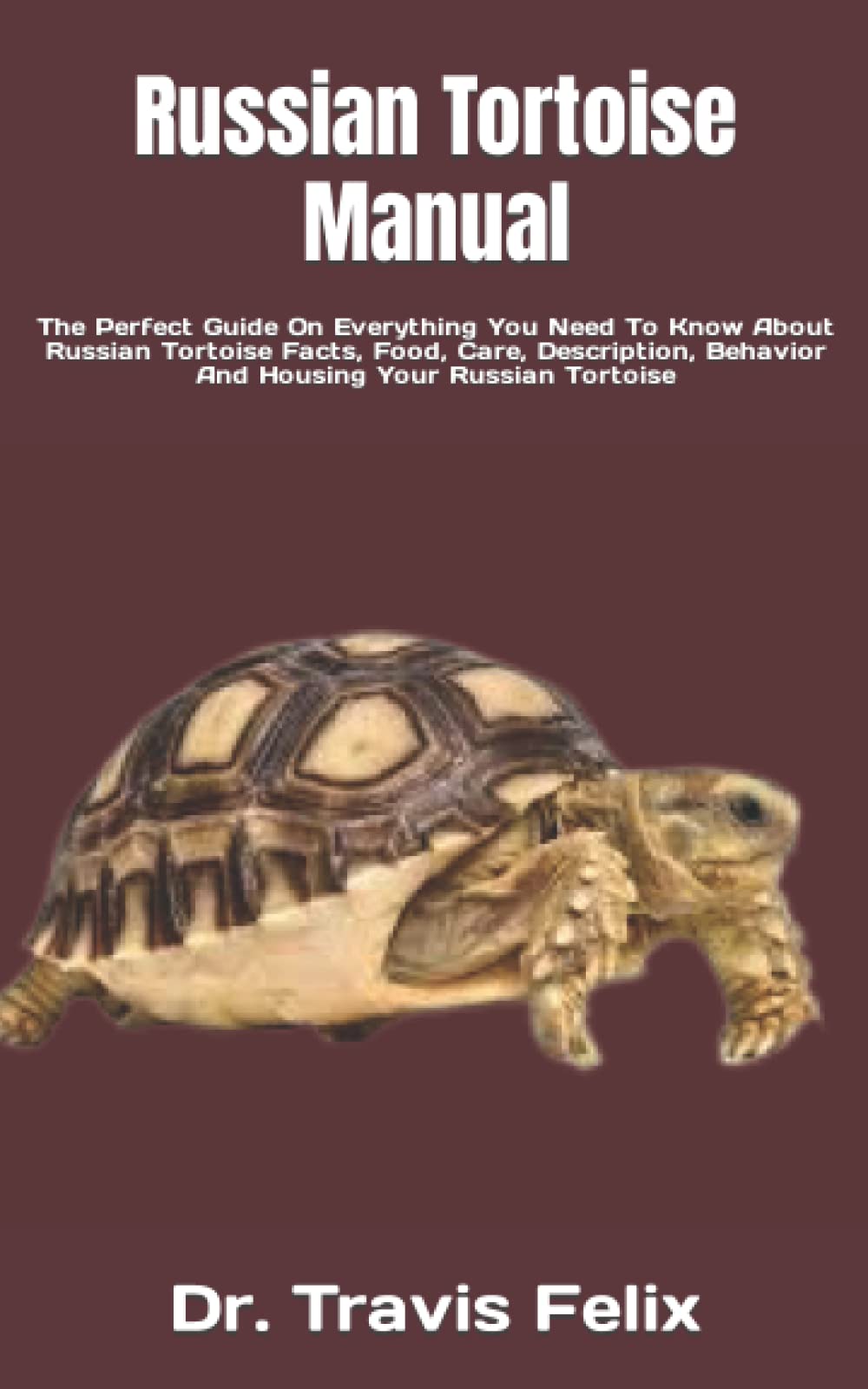 Russian Tortoise Manual The Perfect Guide On Everything You Need To